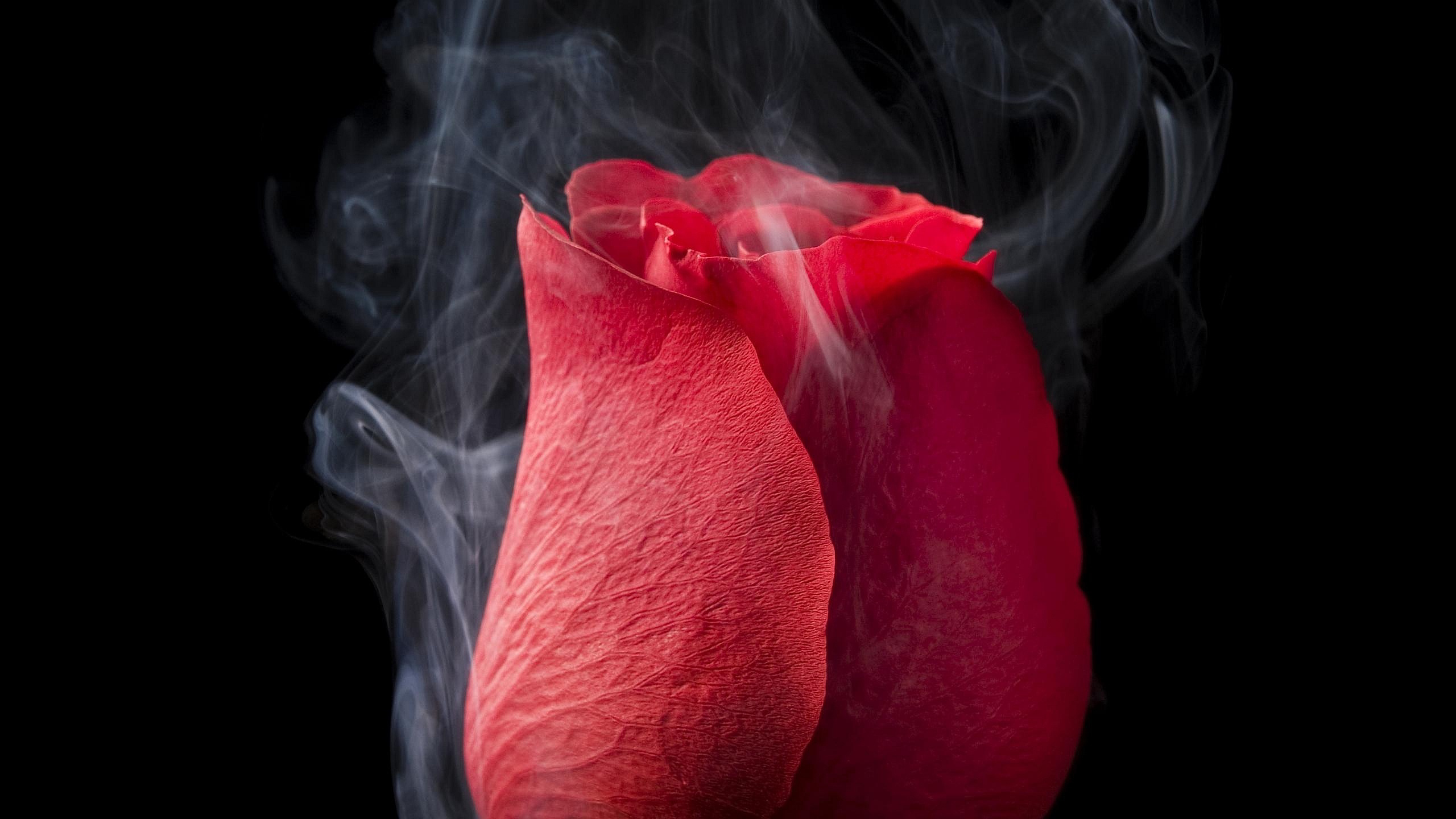 Rose Smoking