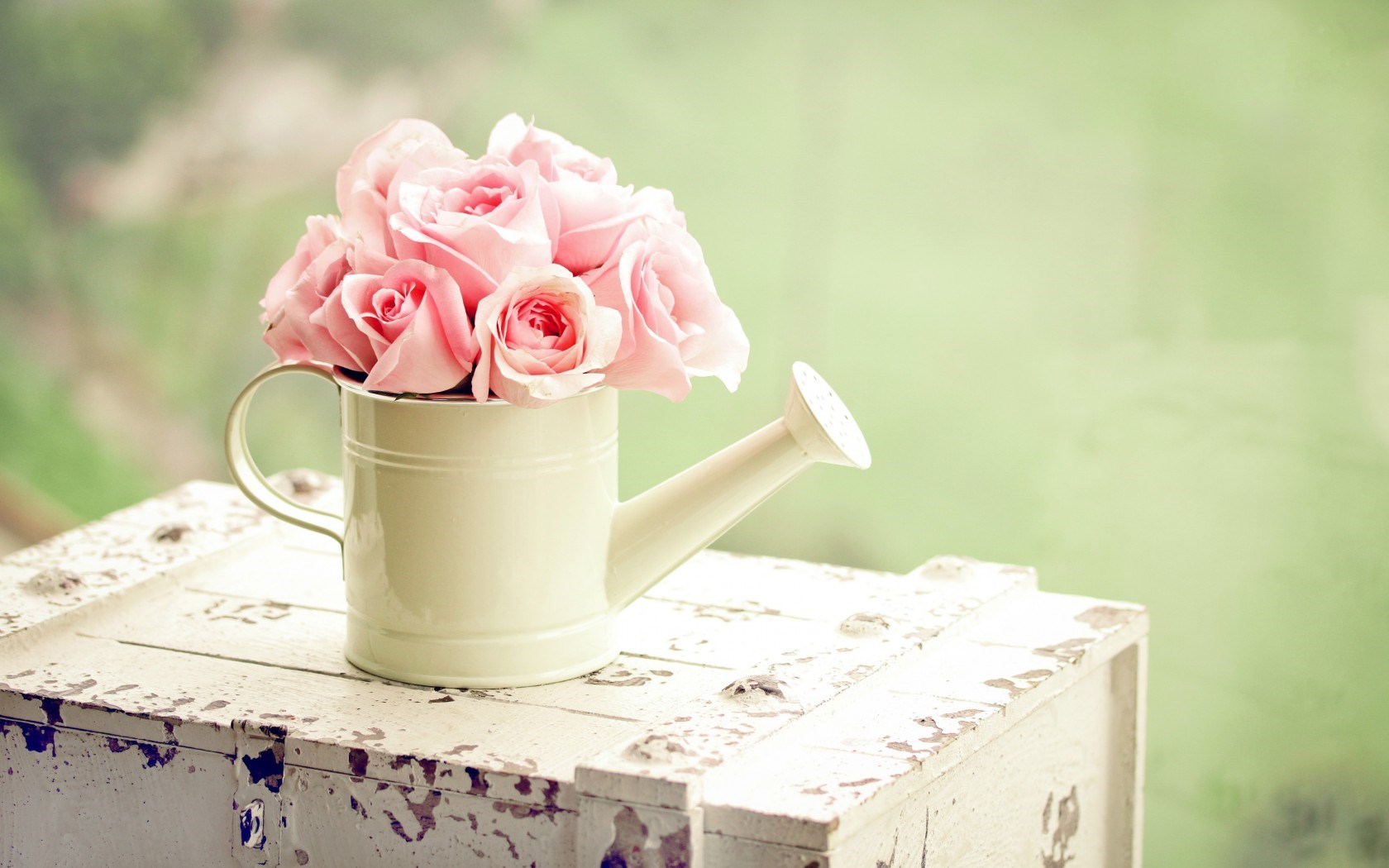 Roses Pink Flowers Watering Can