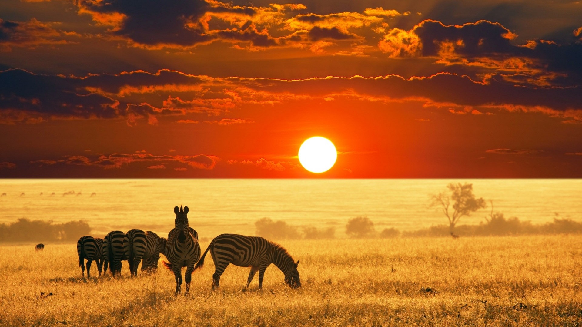 That being said, here are five different places that you should check out on your next safari adventure to Africa.