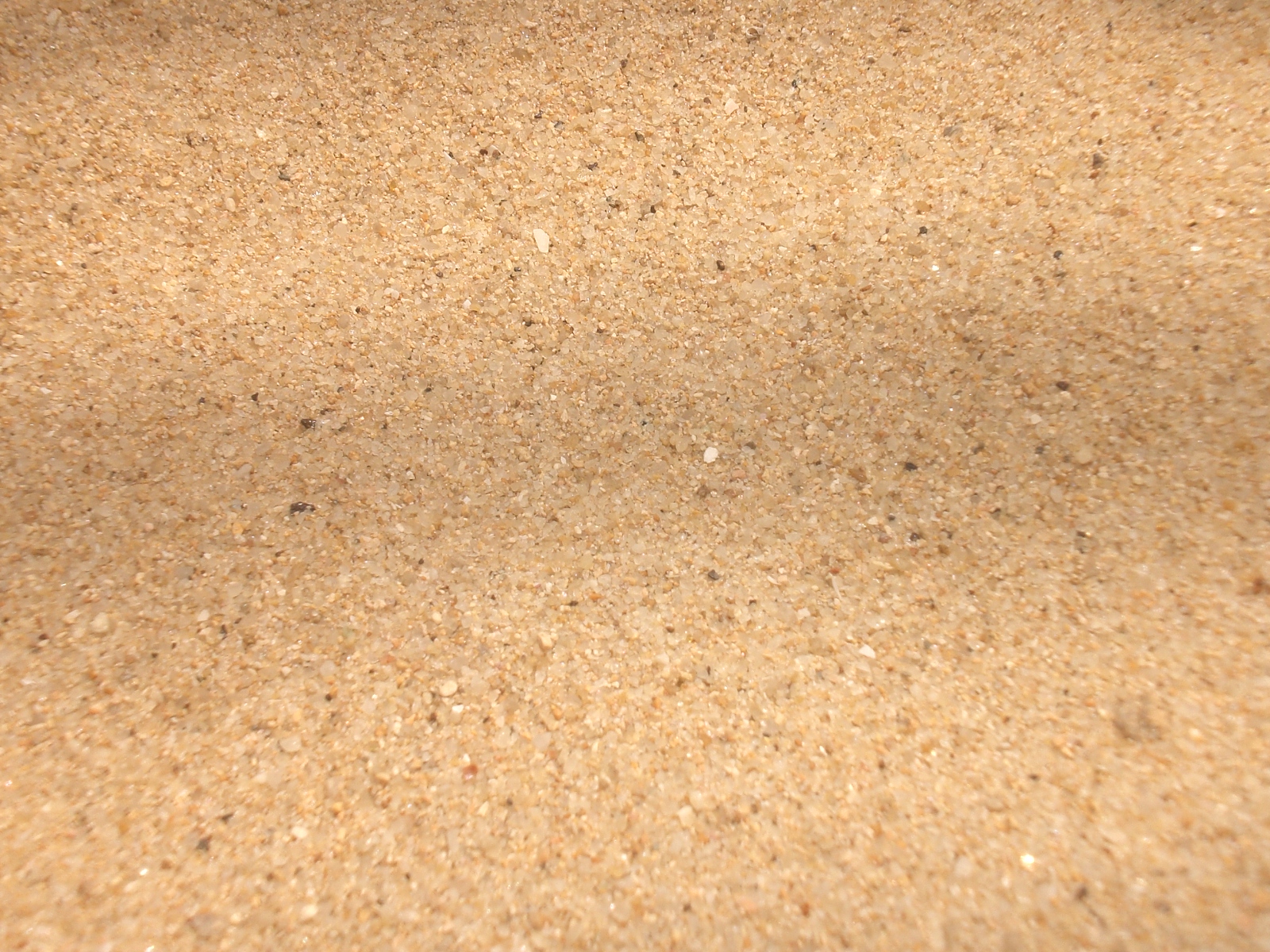 Sand Pictures