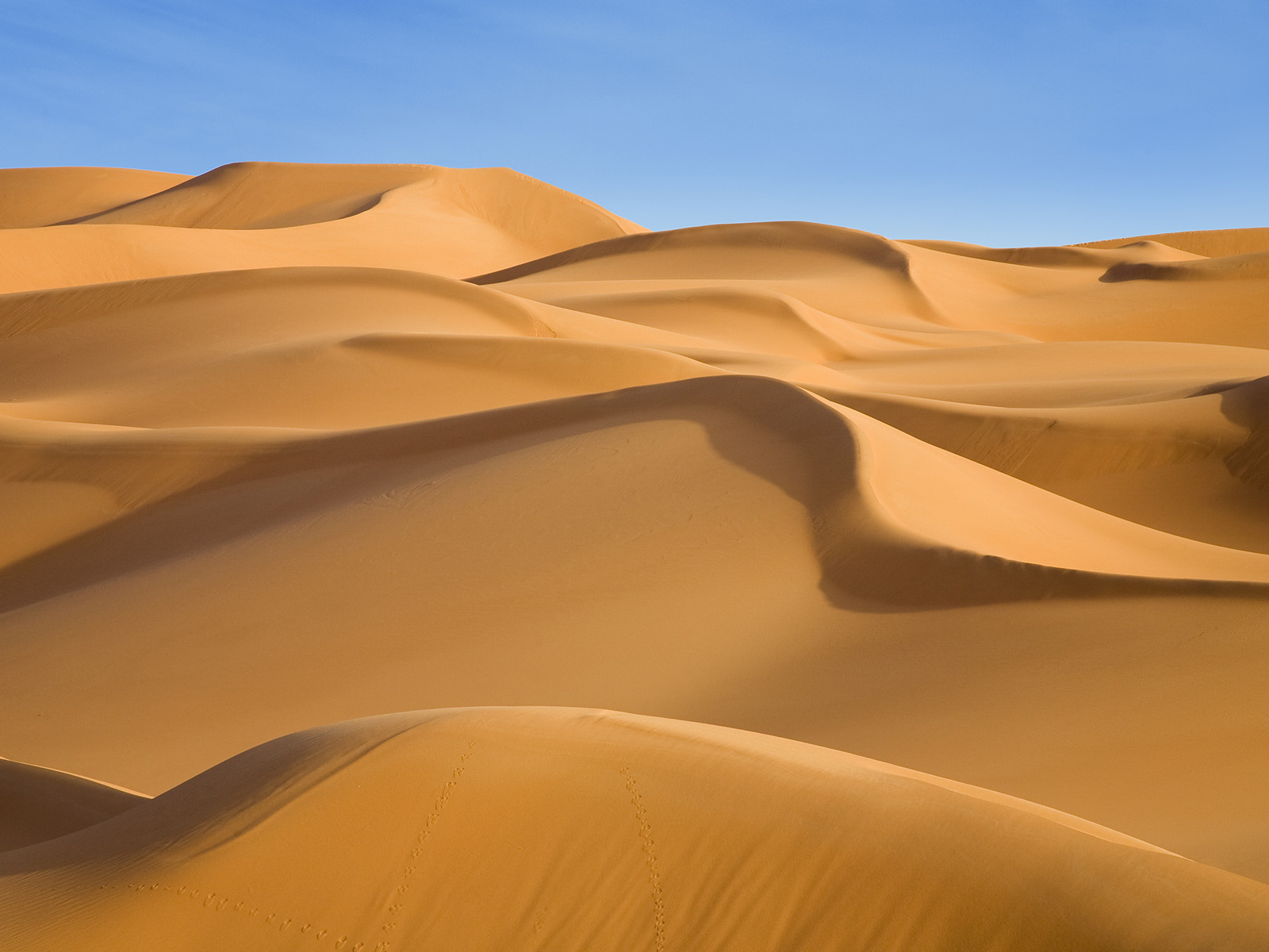 Sand Dune Pictures