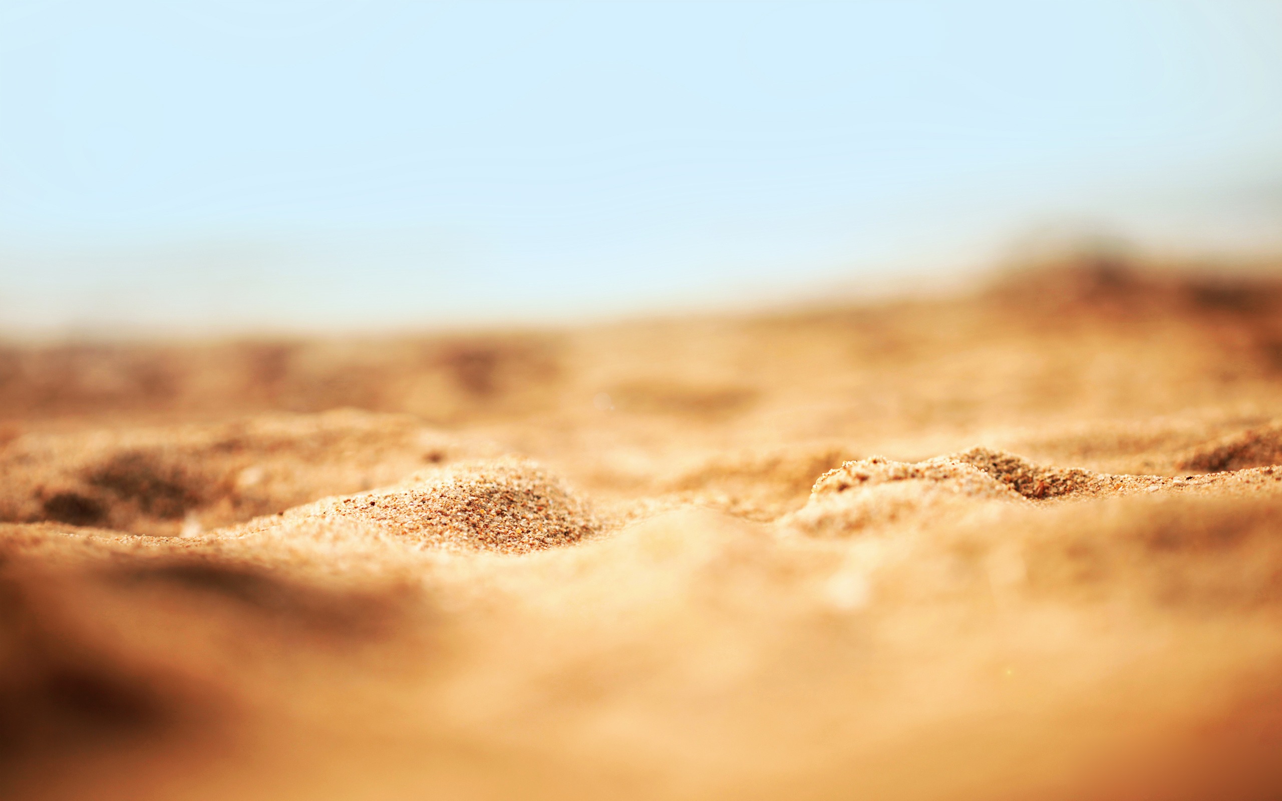 All posts tagged Sand Wallpapers