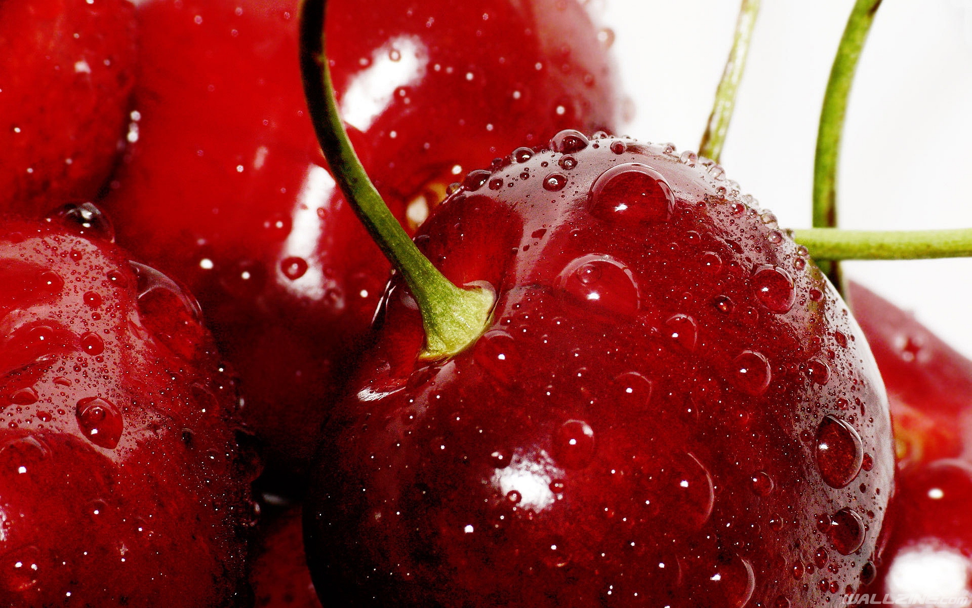 Sapful Cherries