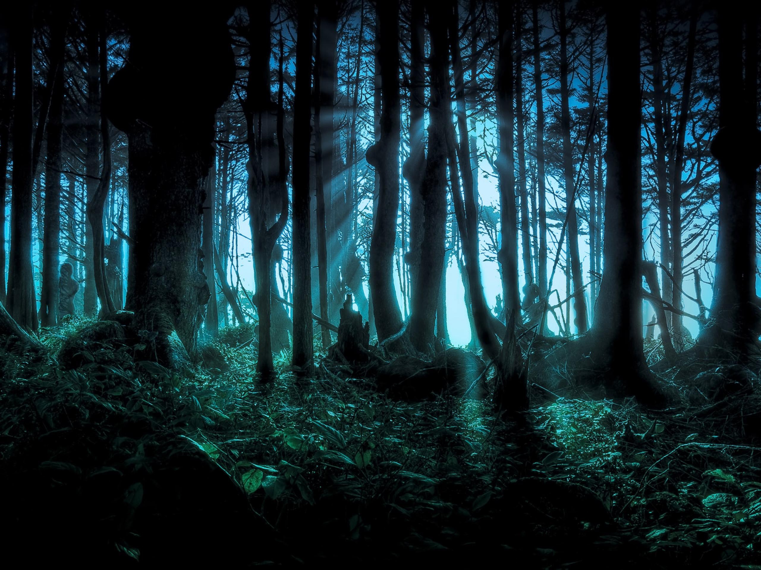Scary Woods Wallpaper Awesome Images 147 Backgrounds