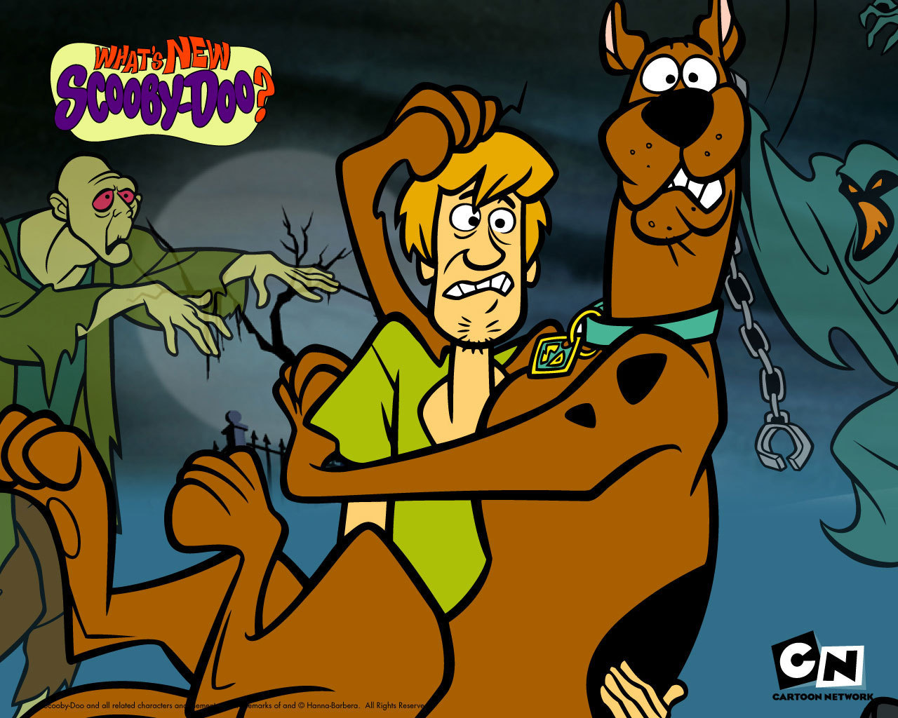 The Mystery Begins Scooby Doo and Shaggy Wallpaper HD Phone