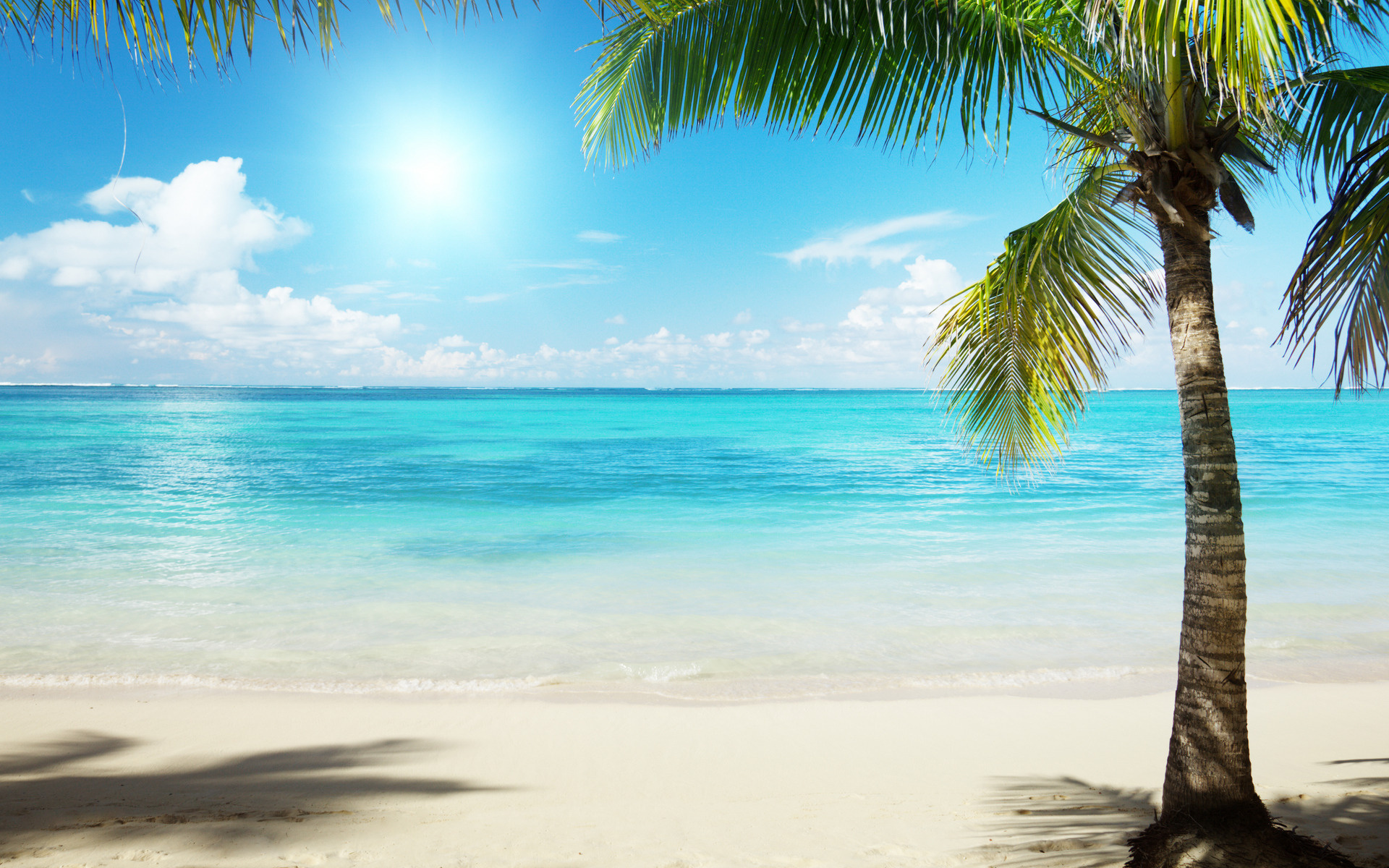 Wallpaper tropics palm beach sea clouds desktop wallpaper. Image Source