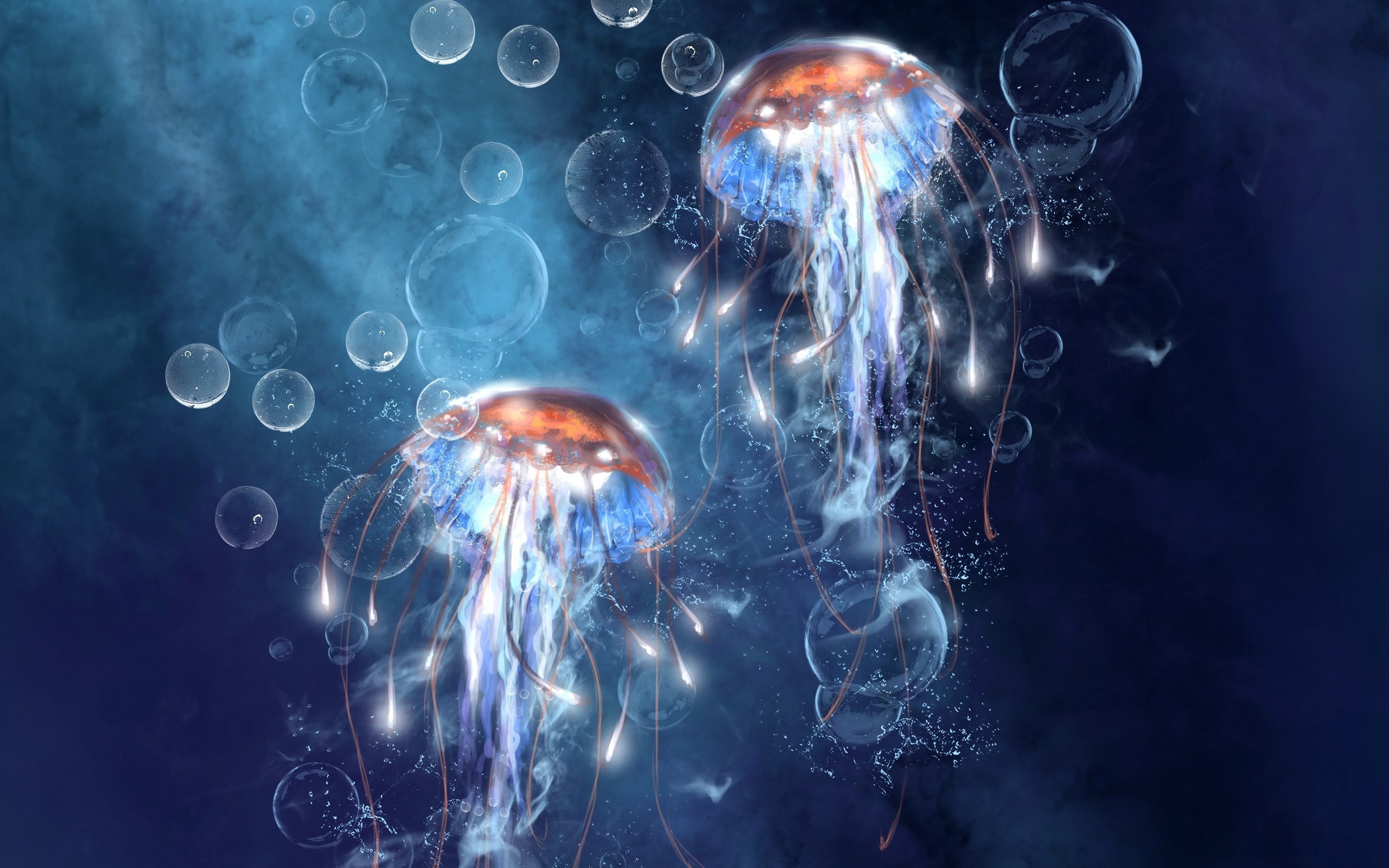 Sea Underwater Jellyfish Bubbles Art