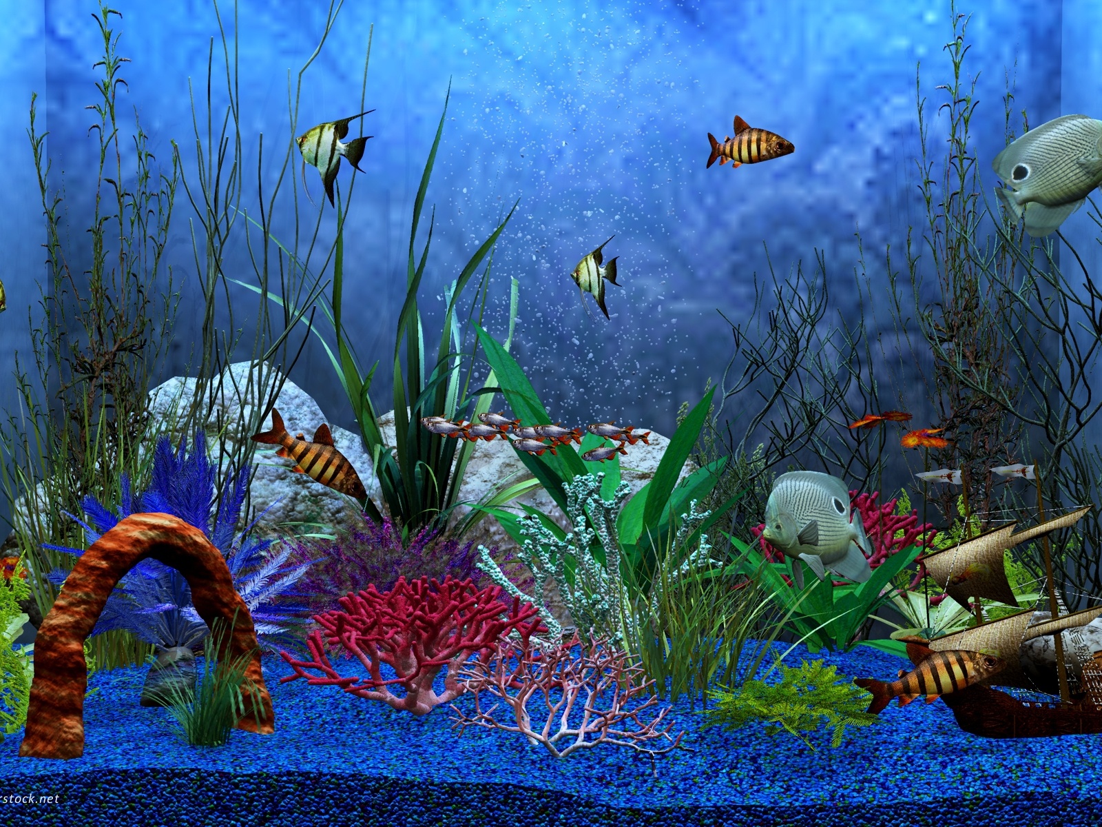 Free Pics of Underwater World, Fishes Swimming Through Various Sea Plants, Blue Bubbles.