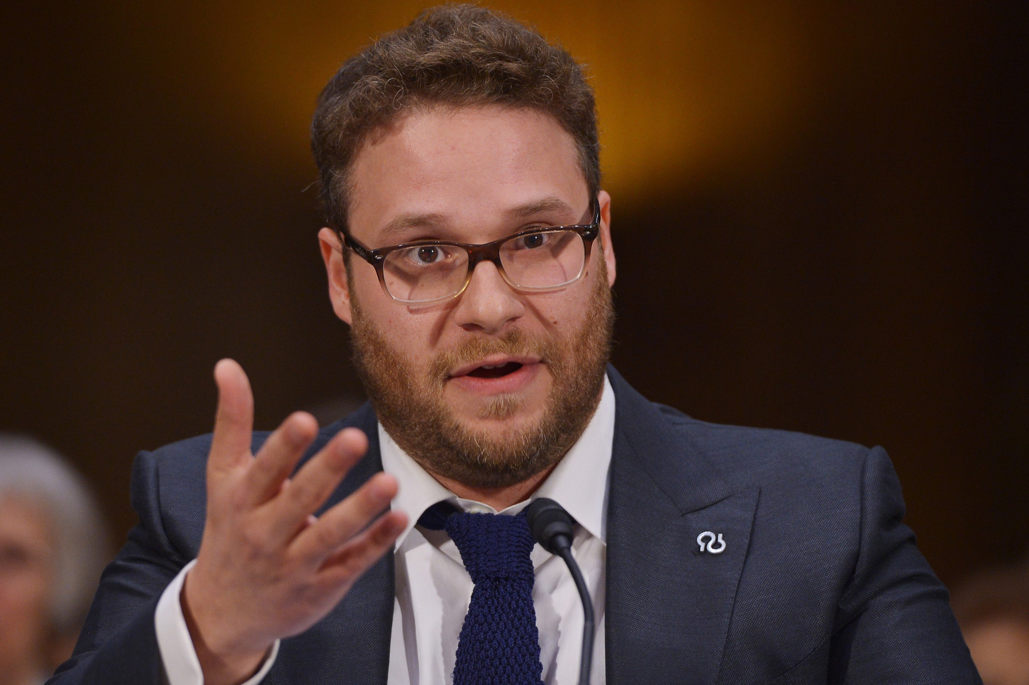 Seth Rogen testifies before the Senate Committee on Appropriations on the rising cost of Alzheimer's in America.Photo: Getty Images