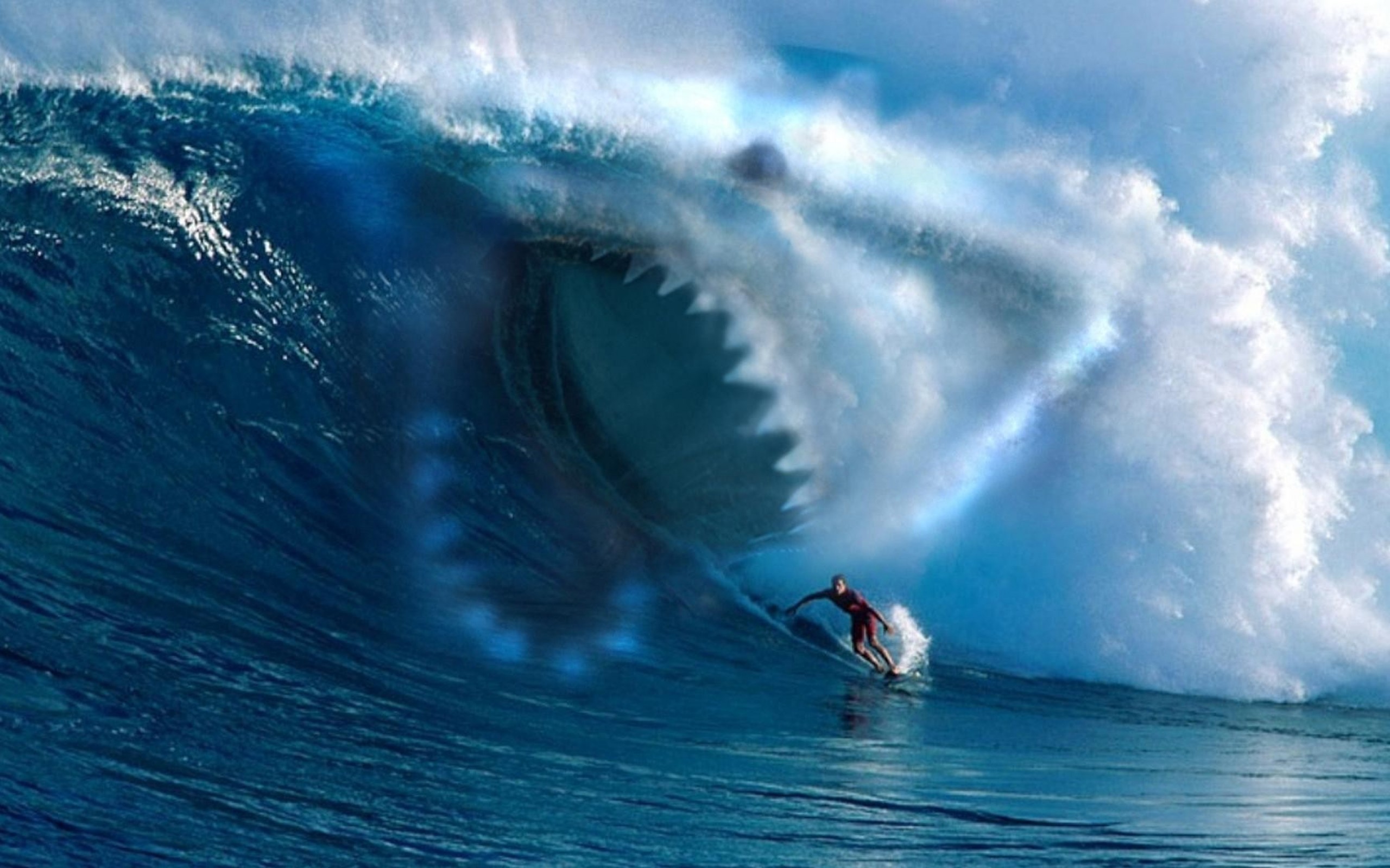 Shark Wave