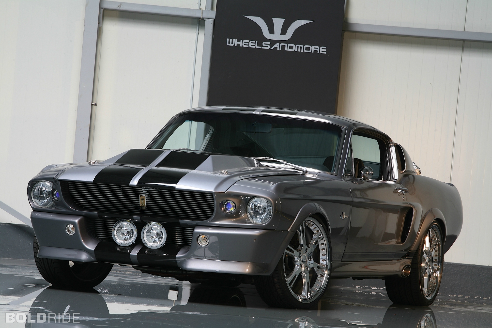 Shelby GT500 Pictures