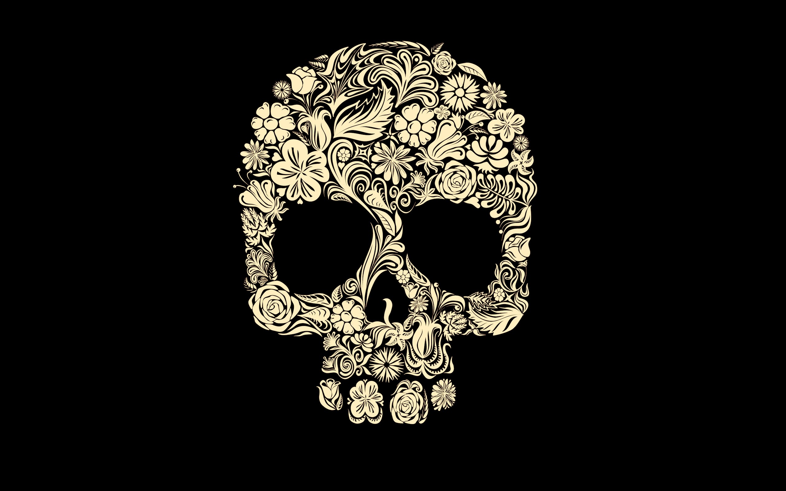 Skull Wallpaper Simple Cover HD Resolution 213 Backgrounds