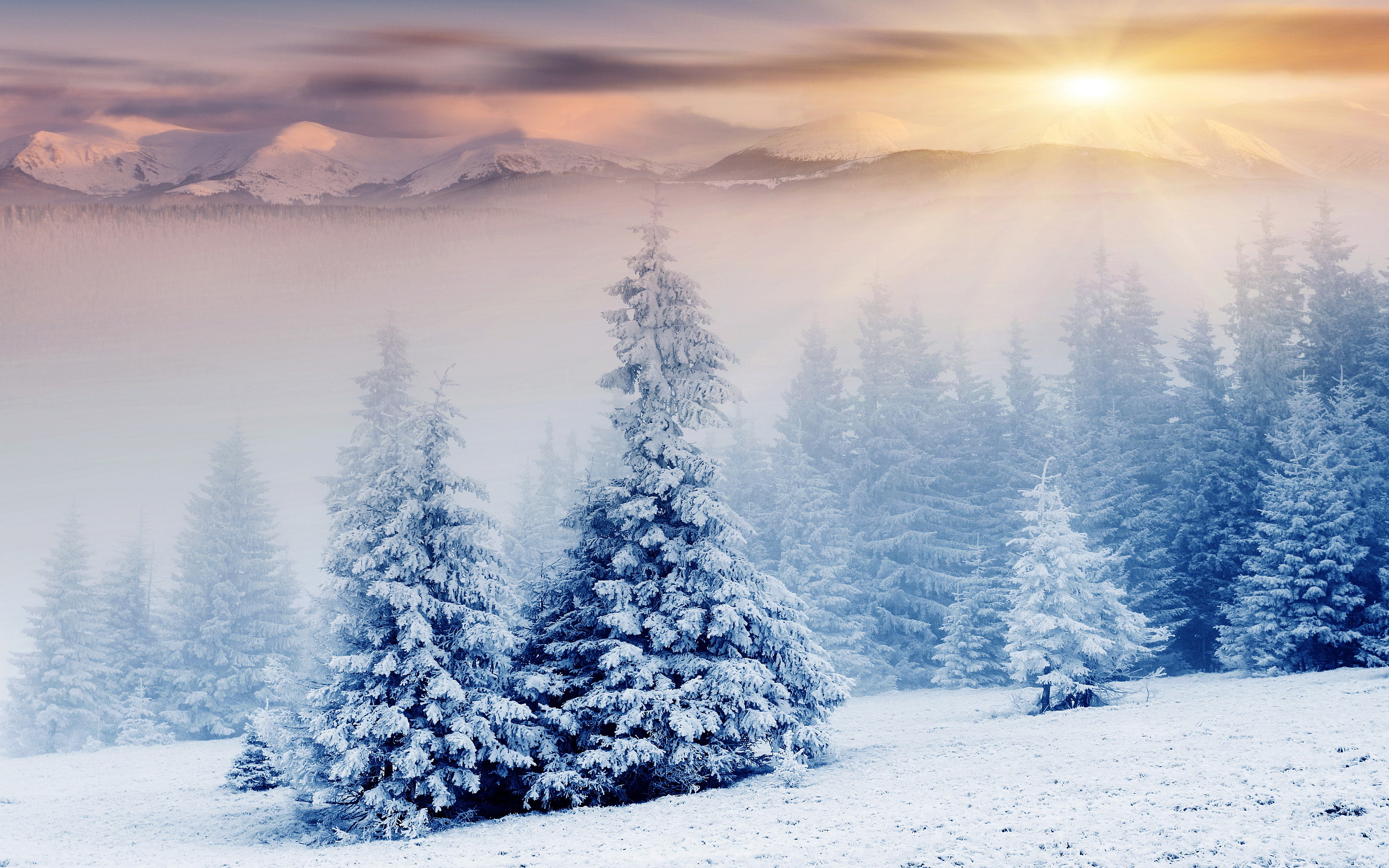 Snow Landscape Background