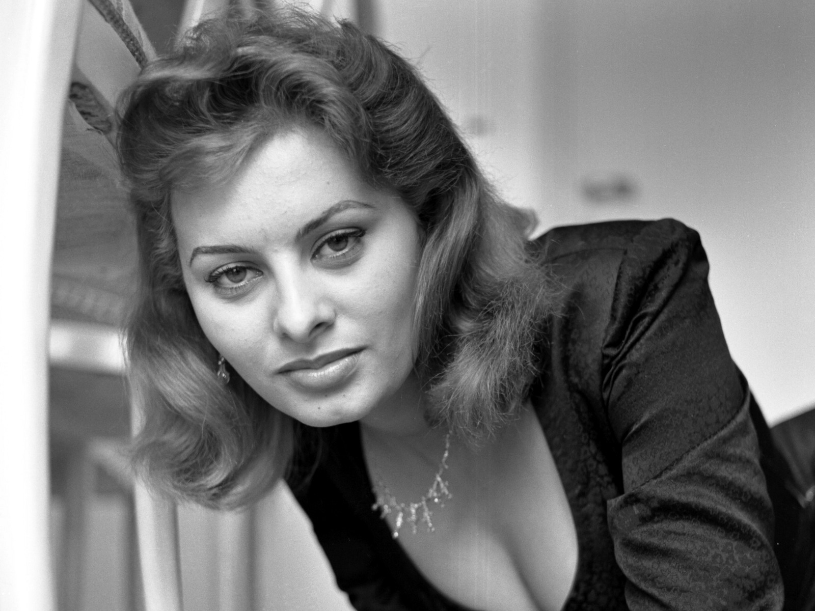 Sophia Loren pic