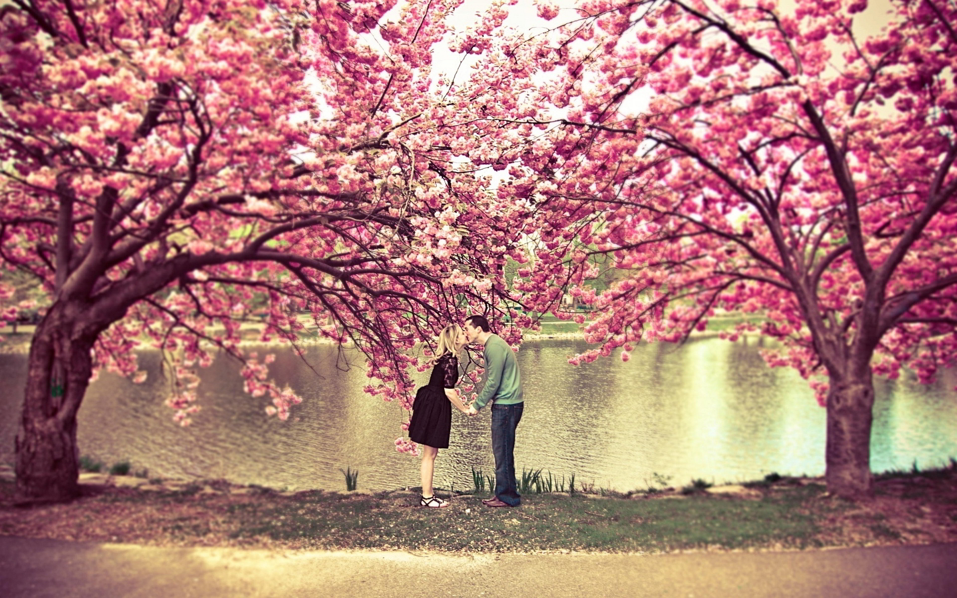 Spring blossom love kiss