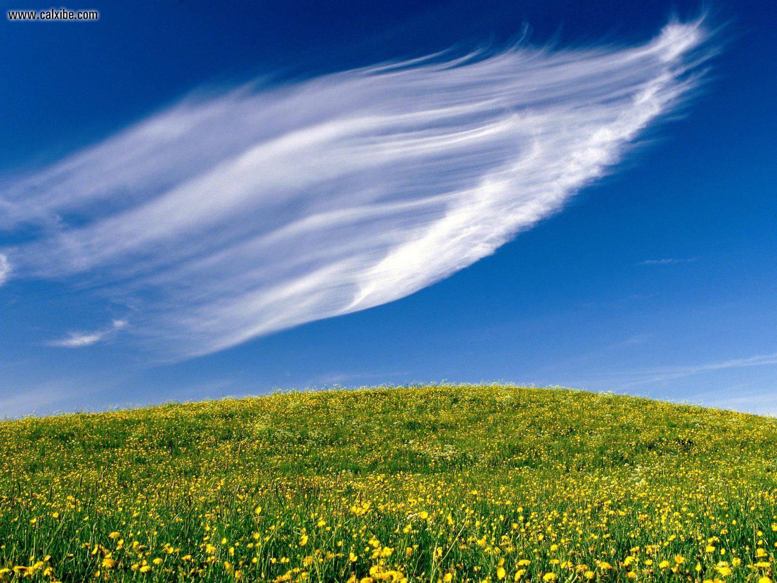 Clouds Sweeping Springtime Blossoms (3D Landscape)
