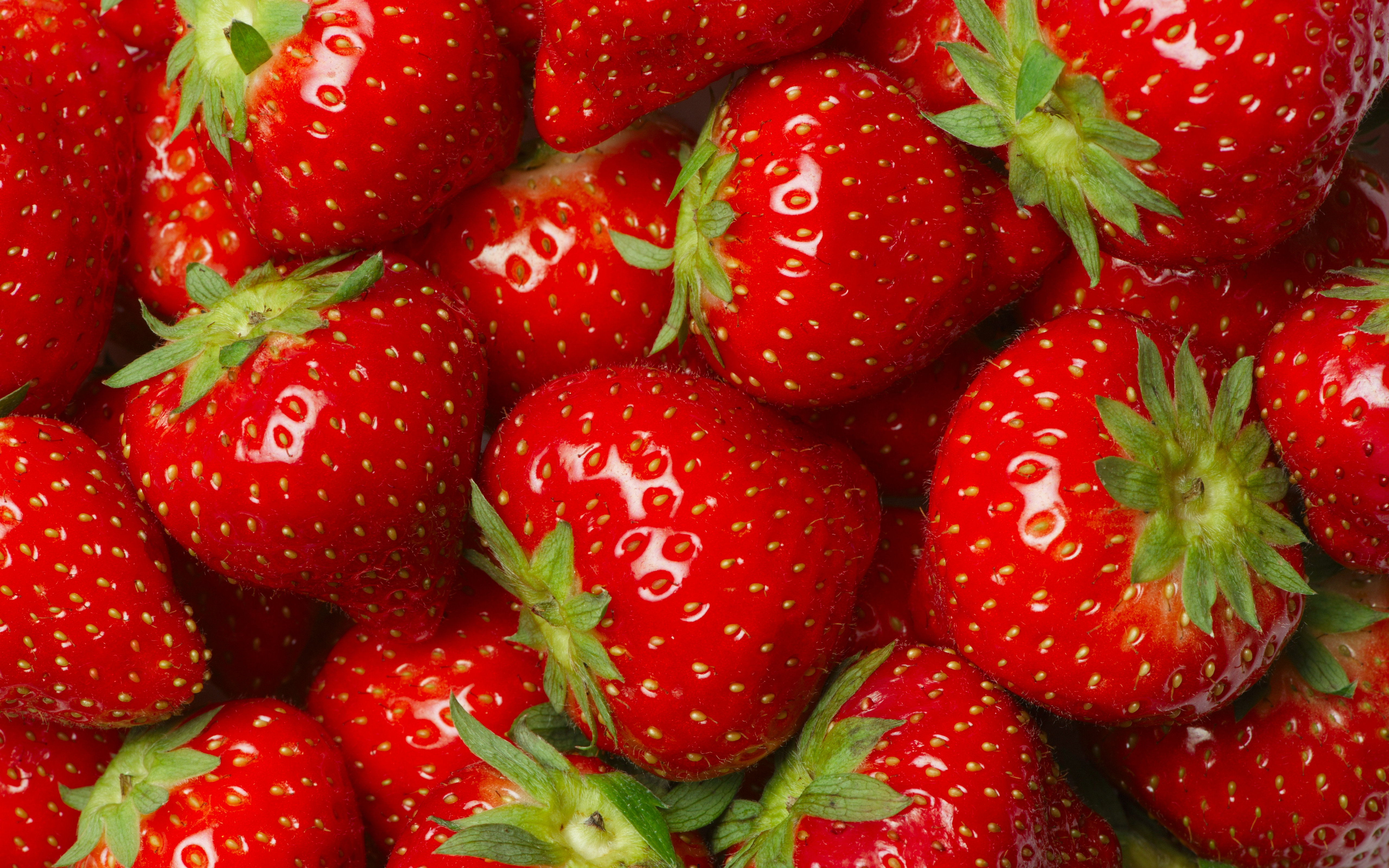 Strawberries Close Up Wallpaper 45281 1920x1200 px