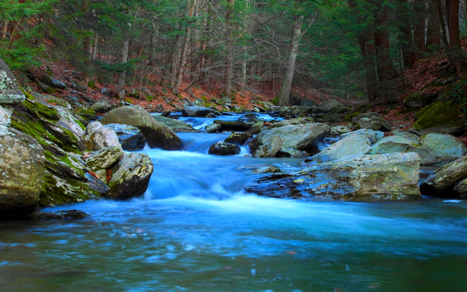 Forest Stream HD wallpapers
