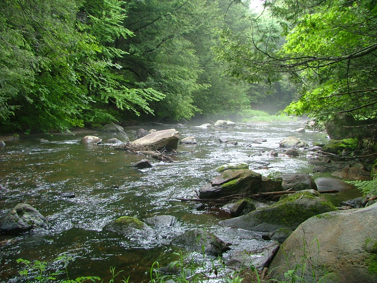 Because our streams work hard! The Farmington River, like many CT rivers, serves multiple purposes for multiple users: drinking water, hydropower, ...