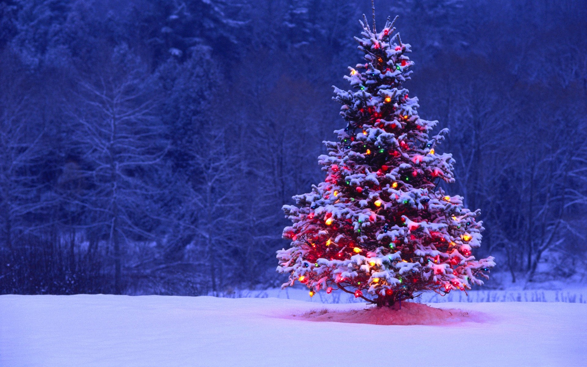 Christmas Tree HD Wallpaper Free Download