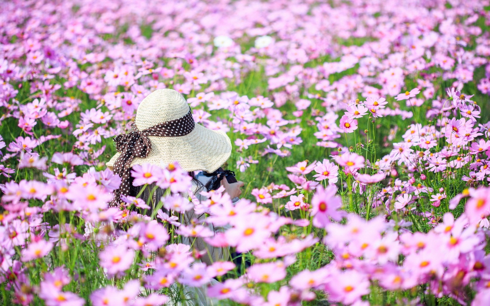 Summer Flowers Field Girl Mood