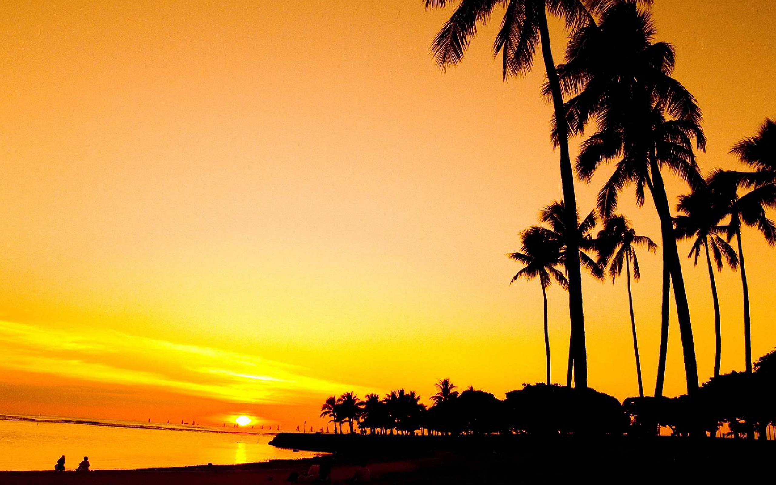 Sunset Palm Beach