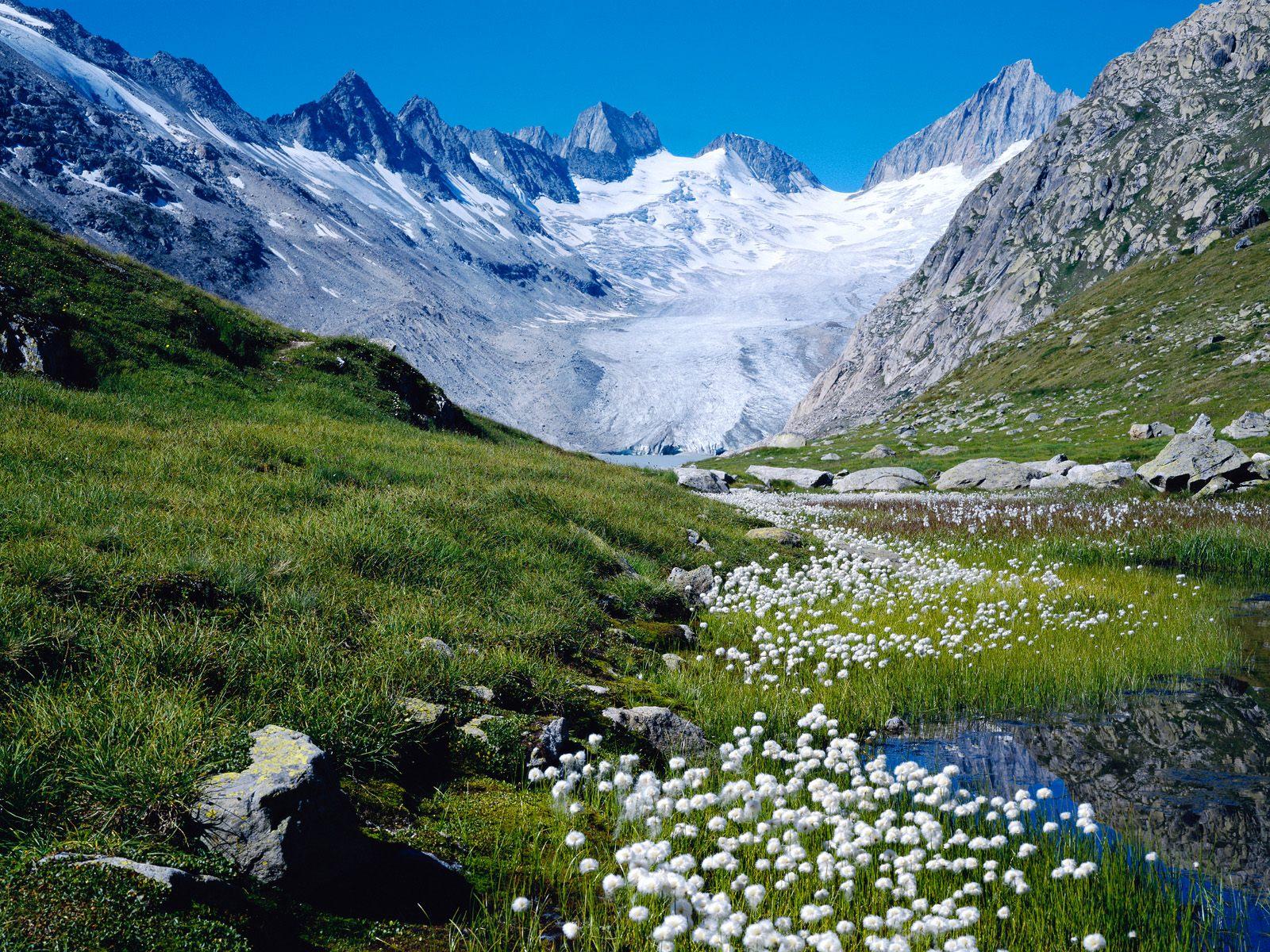 Switzerland Landscape