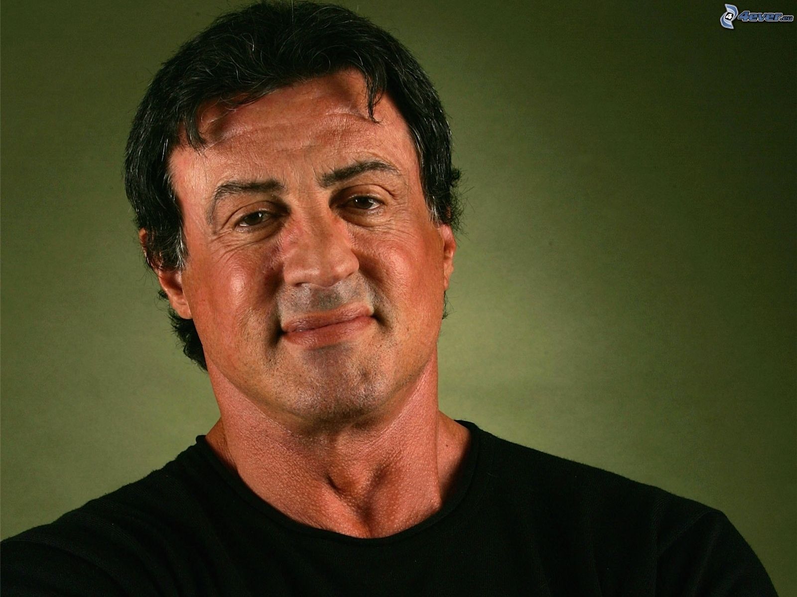 Sylvester Stallone download free wallpapers