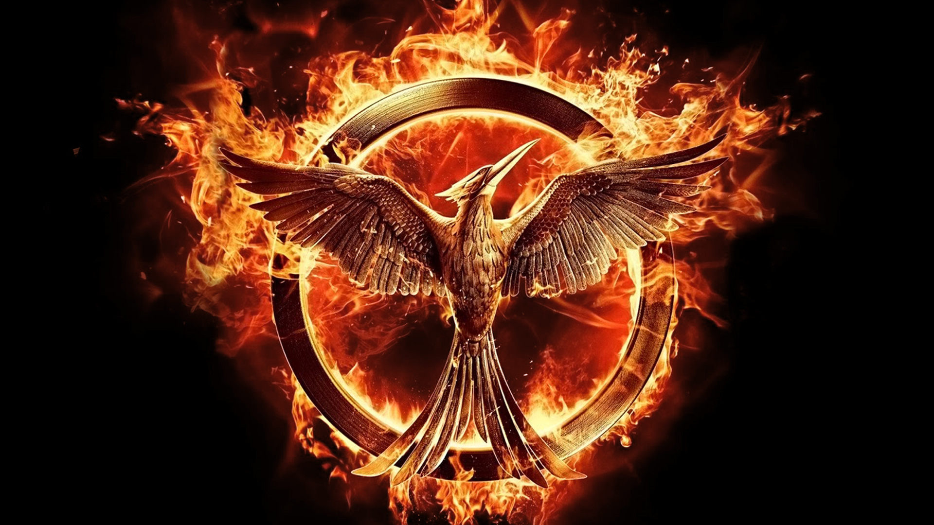 the-hunger-games-mockingjay-part-1-53b19e0a32efb-which-