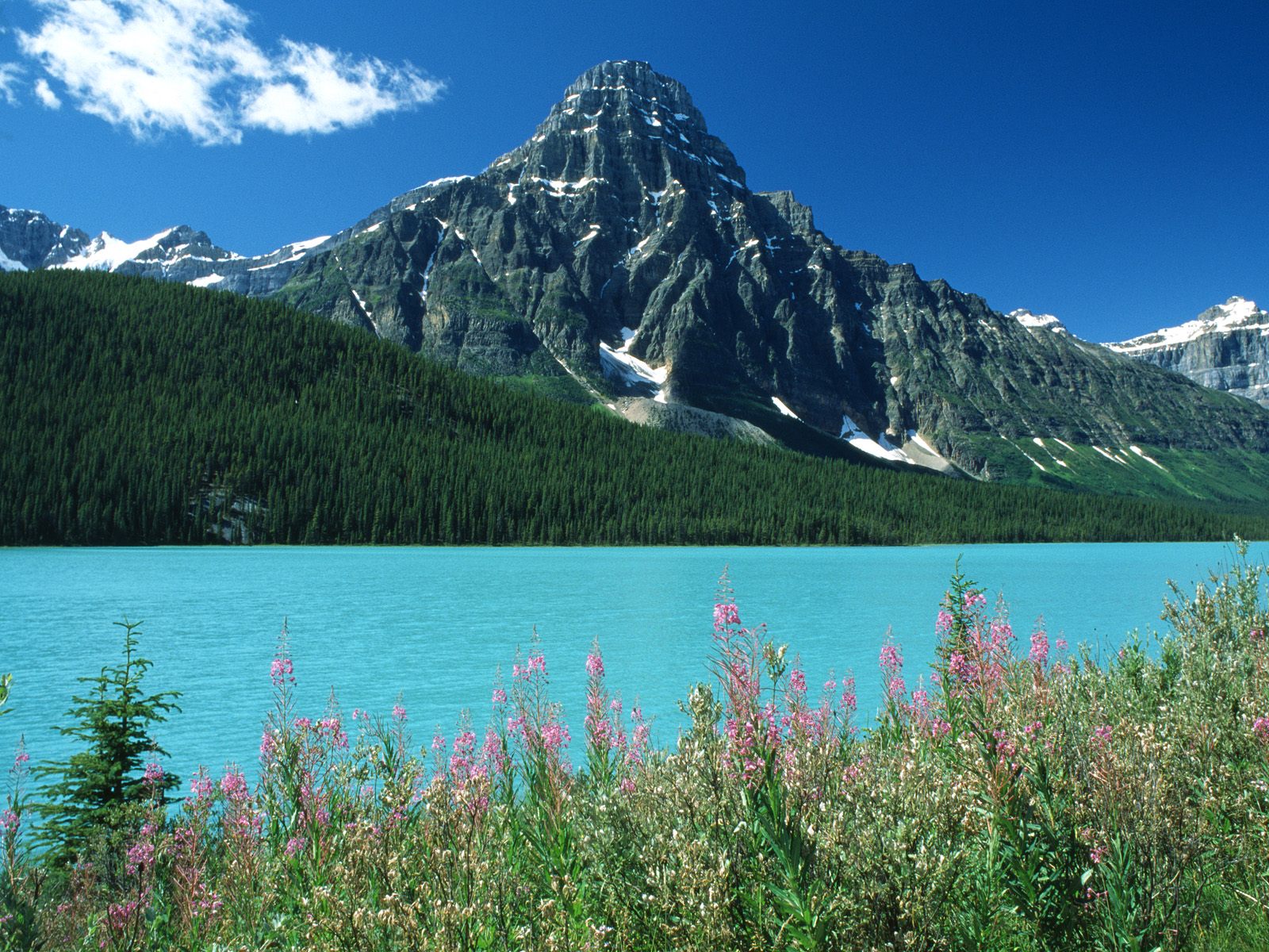 Canadian Rockies picture