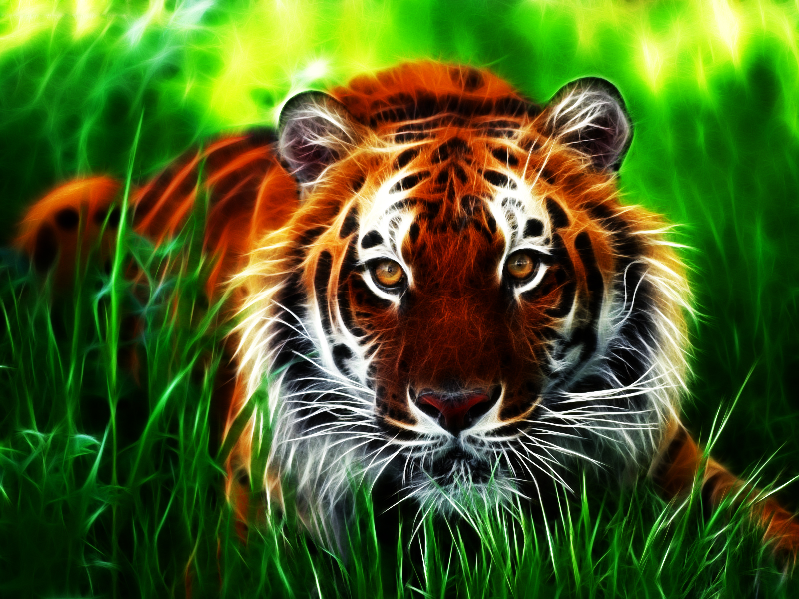 Tiger Download Wallpaper