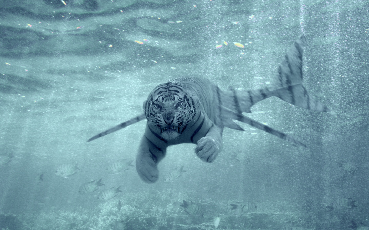 Tiger Shark New Predator | 1440 x 900 | Download | Close
