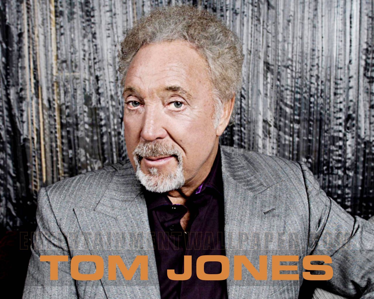 Tom Jones Wallpaper - Original size, download now.