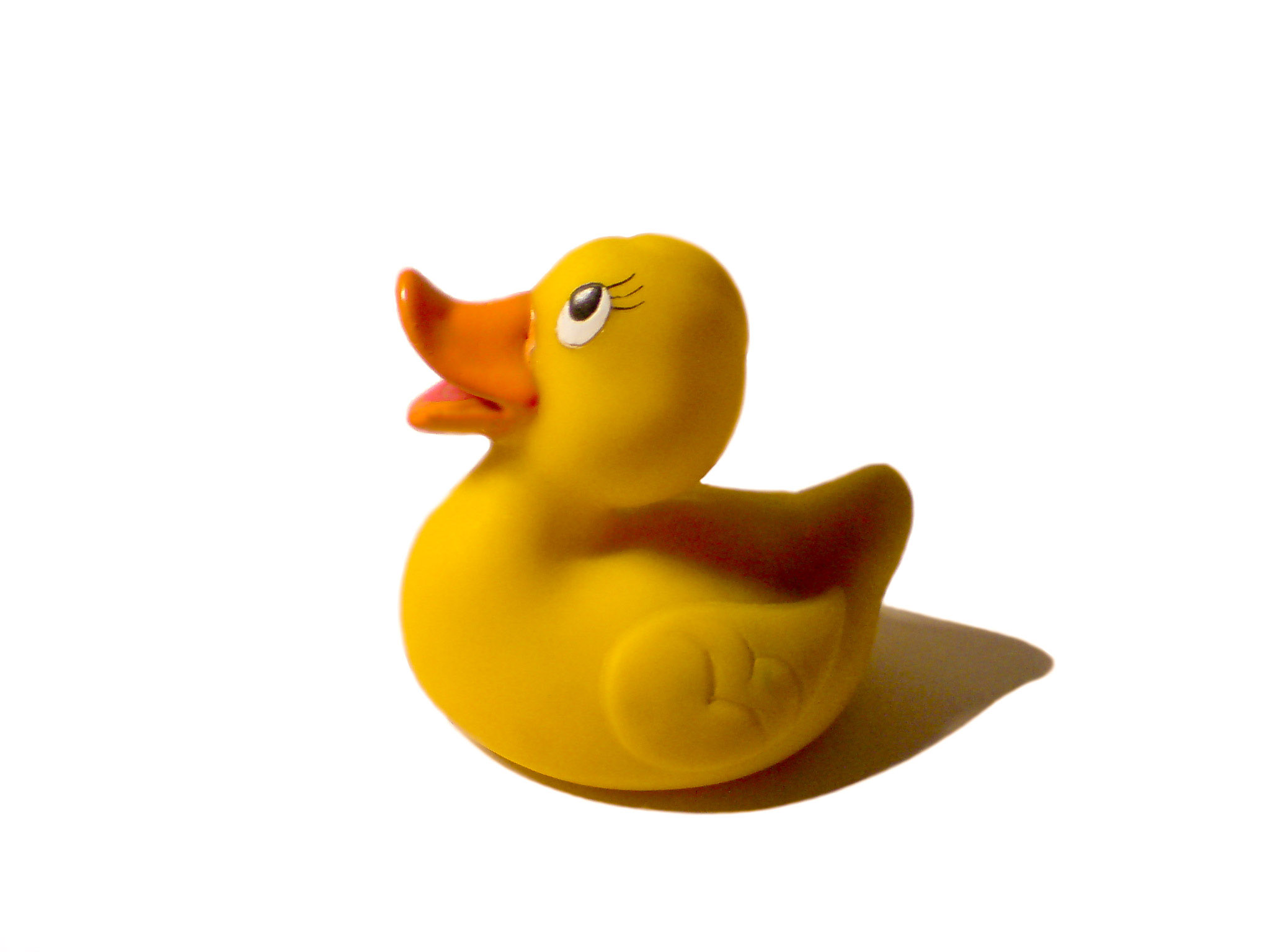 Toy Ducky