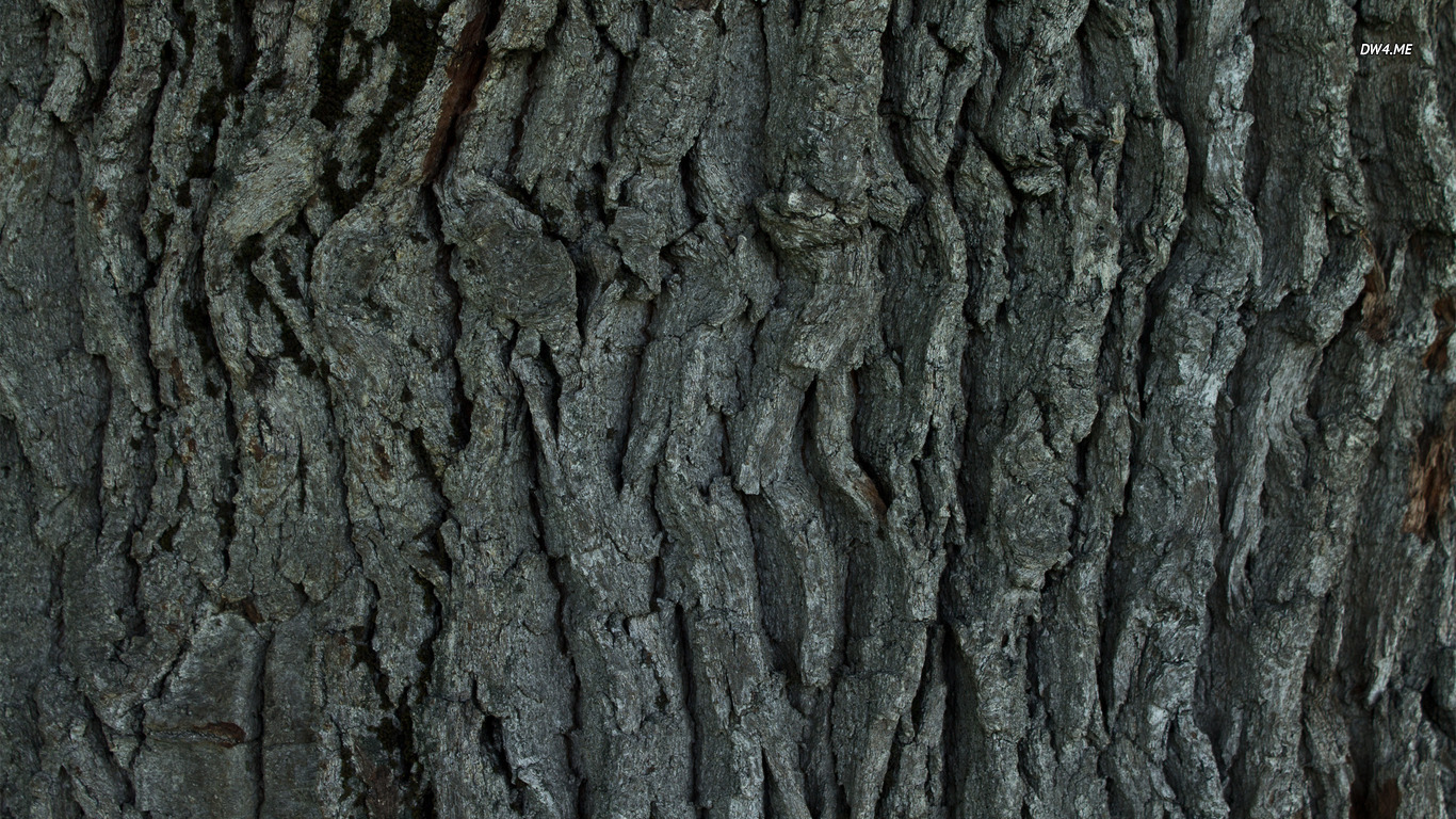 ... Tree bark wallpaper 1366x768 ...