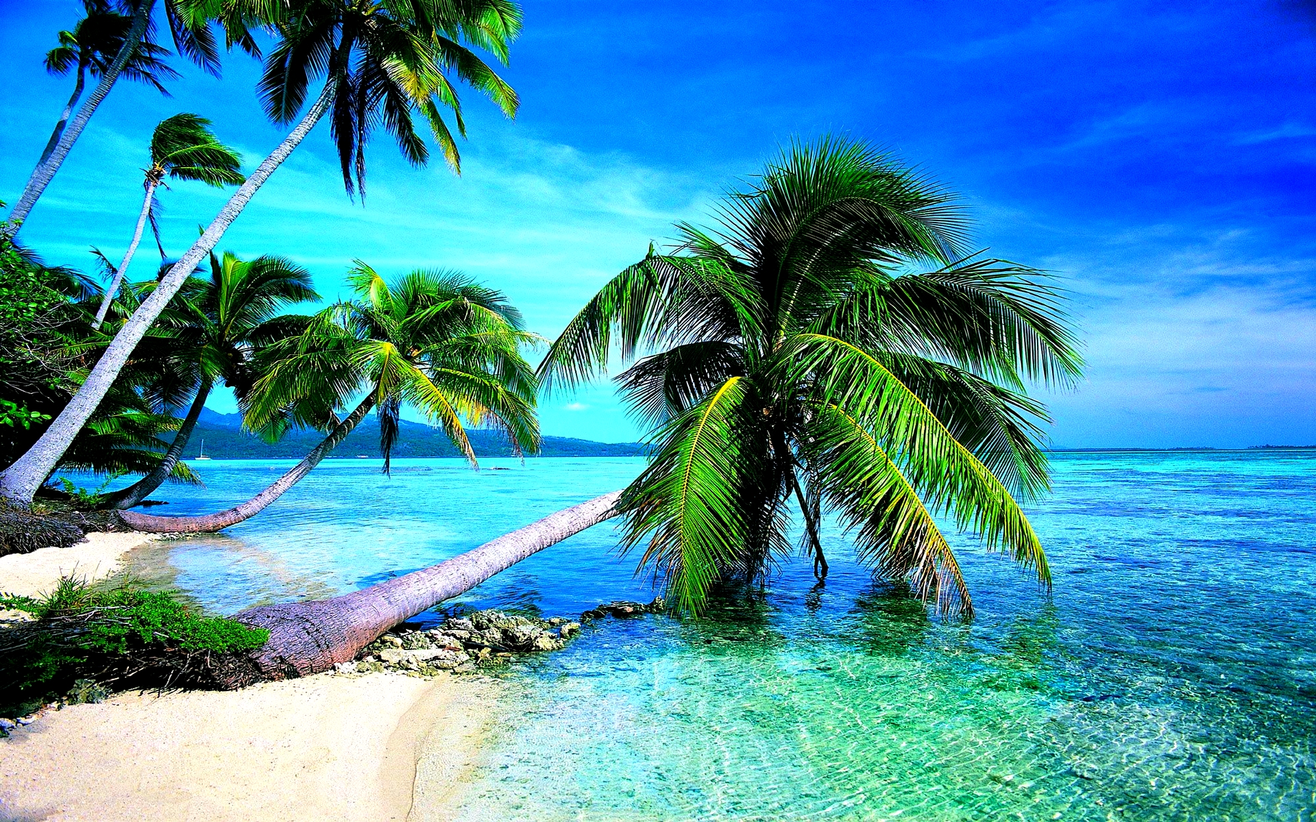 ... Free Beach Screensavers And Wallpapers – Tropical Beach With Clear Water Refresh Your PC Screen Using ...