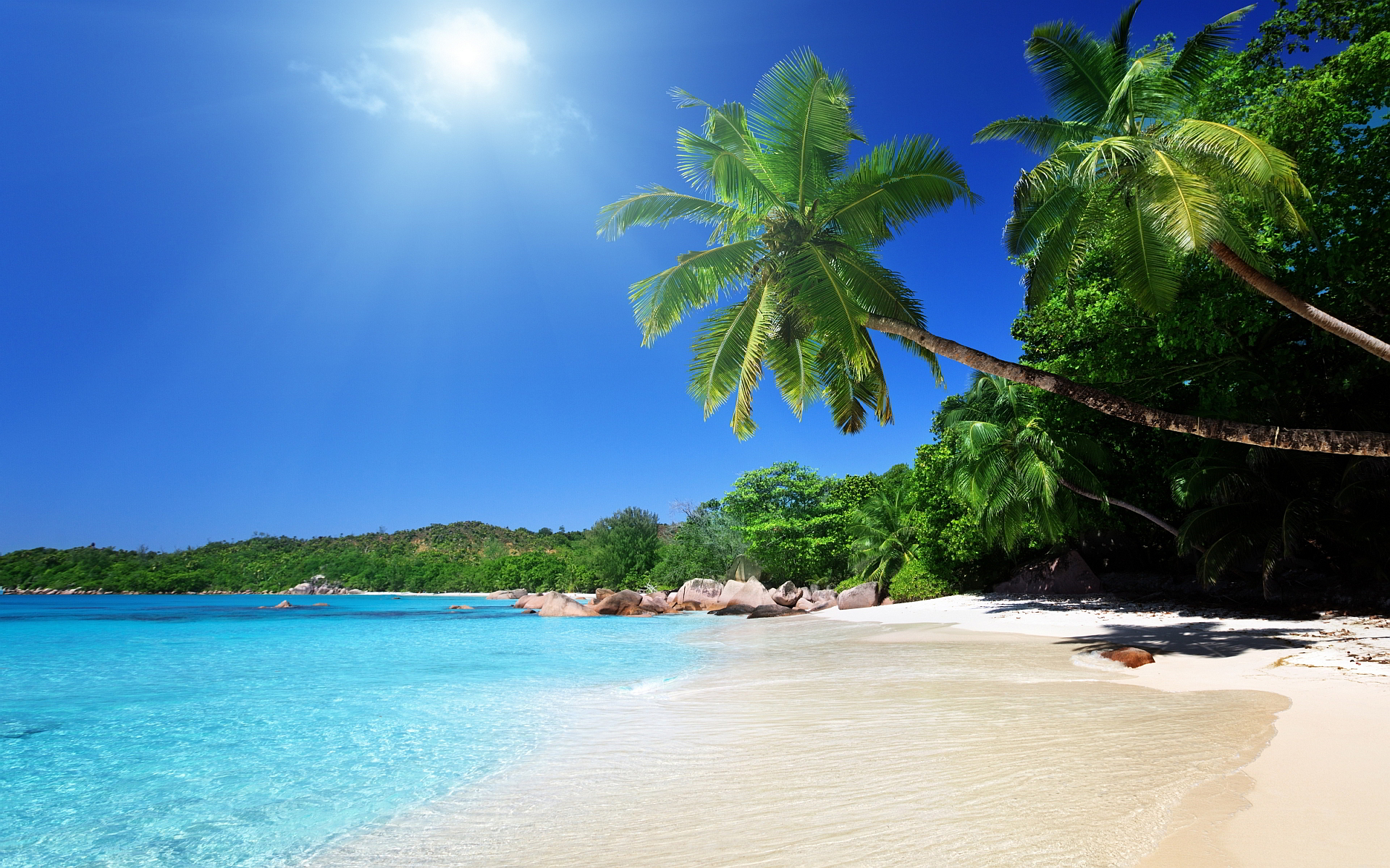 Tropical caribbean beach