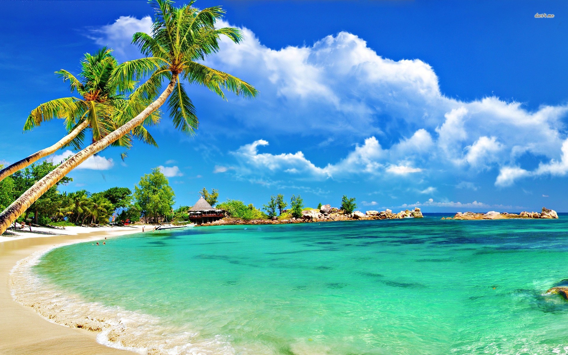 ... best-tropical-wallpapers-images ...