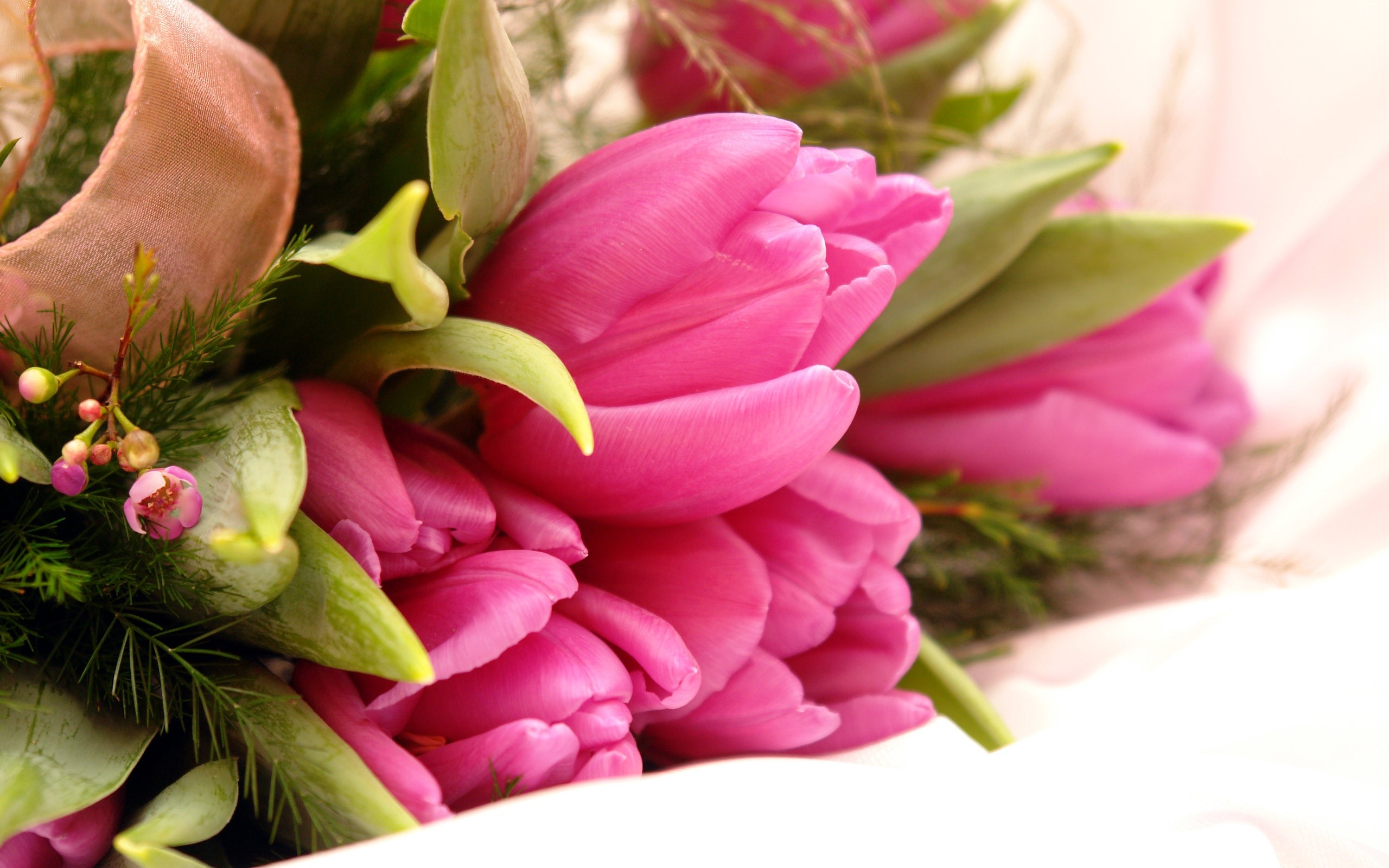 Tulips bouquet hd