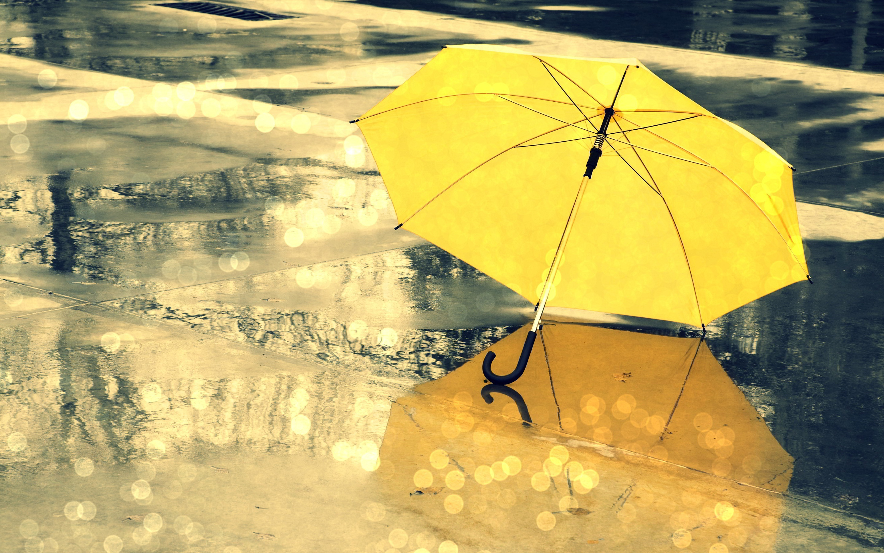 Yellow umbrella rain