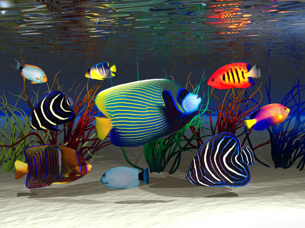 Underwater fish world