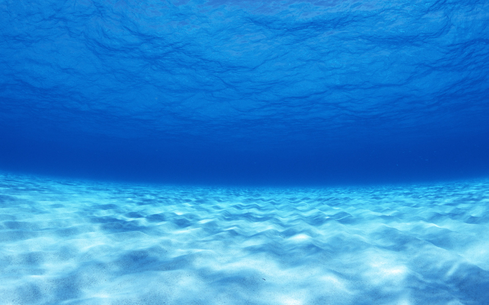 Underwater Wallpaper Image Picture
