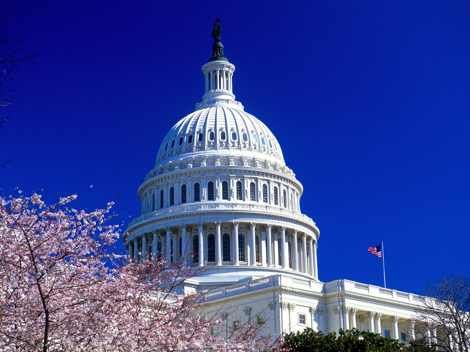 United States Capitol HD Wallpapers-2