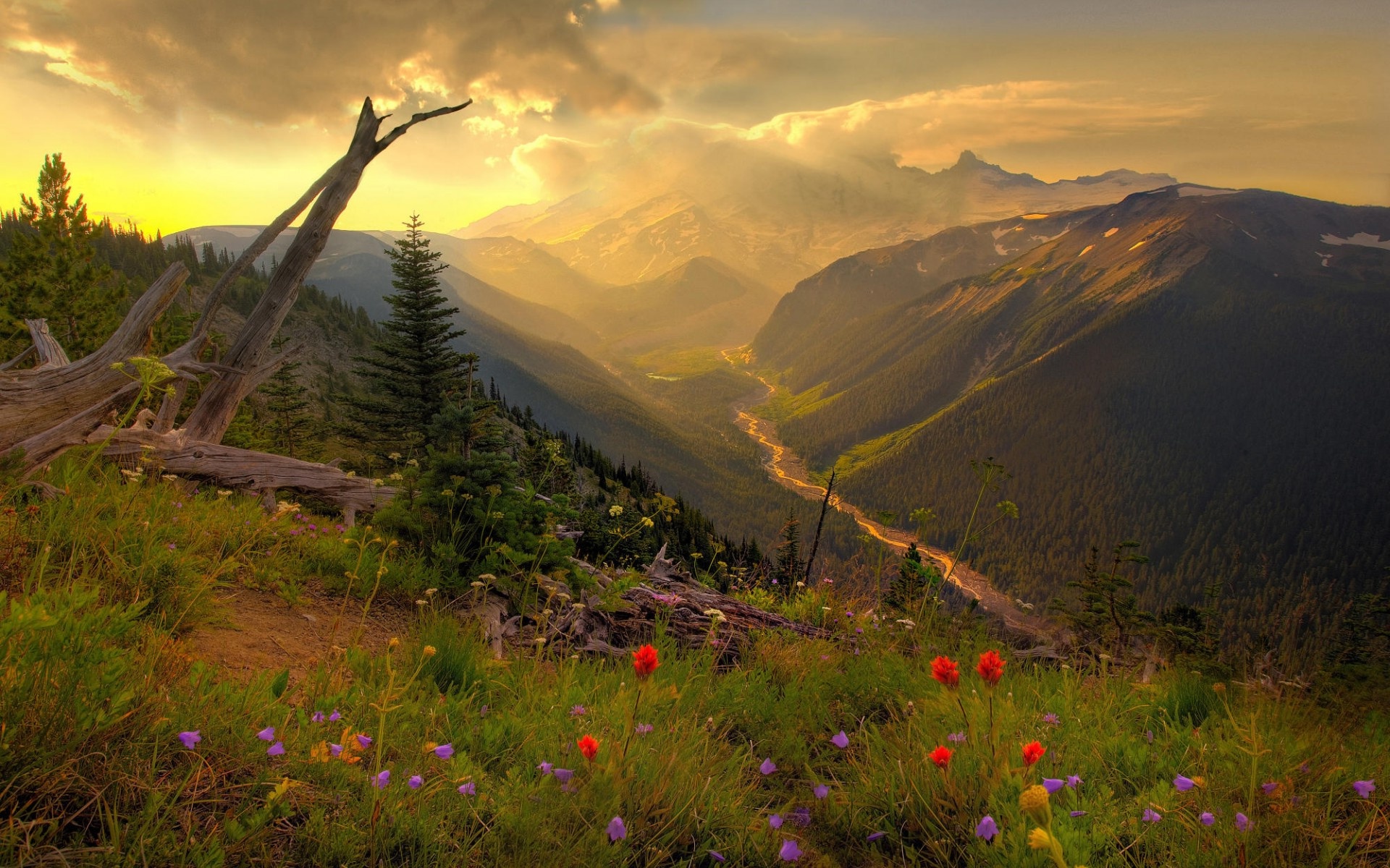 Green Valley Landscape at the Sunrise wallpaper
