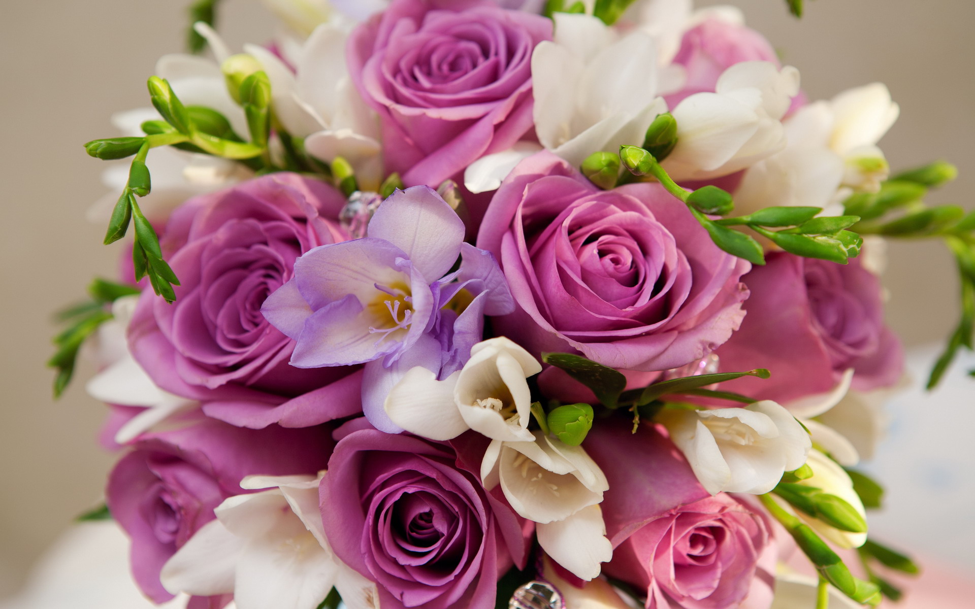 Violet roses bouquet
