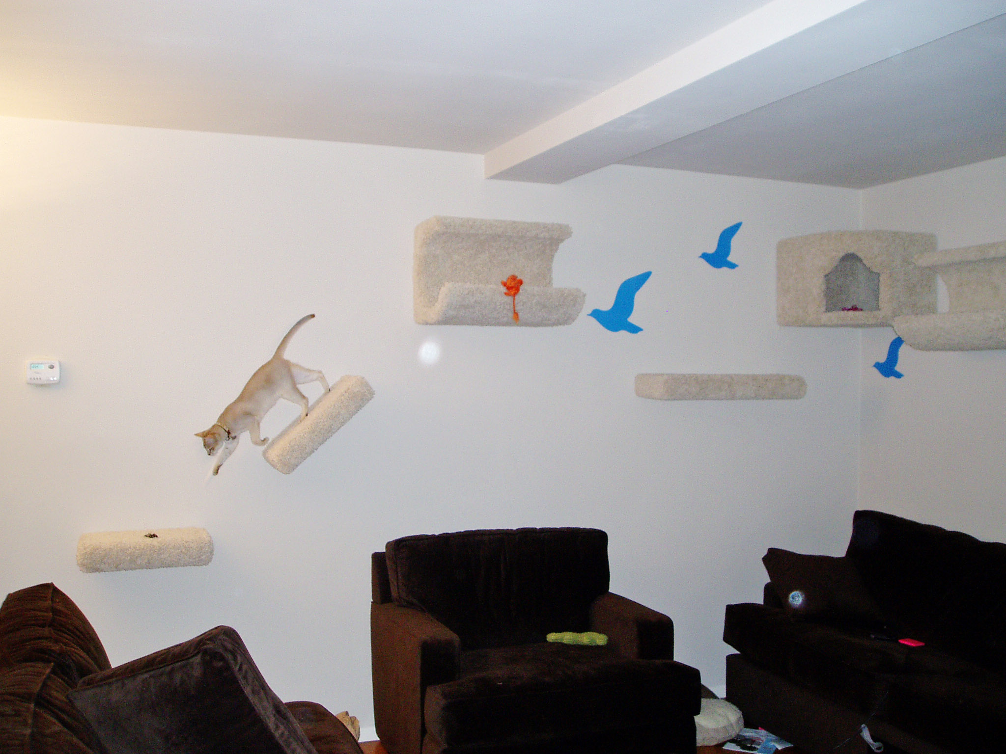... Fine Wall Furniture On Furniture With Wall Furniture After We Installed It On 9 30 08 ...