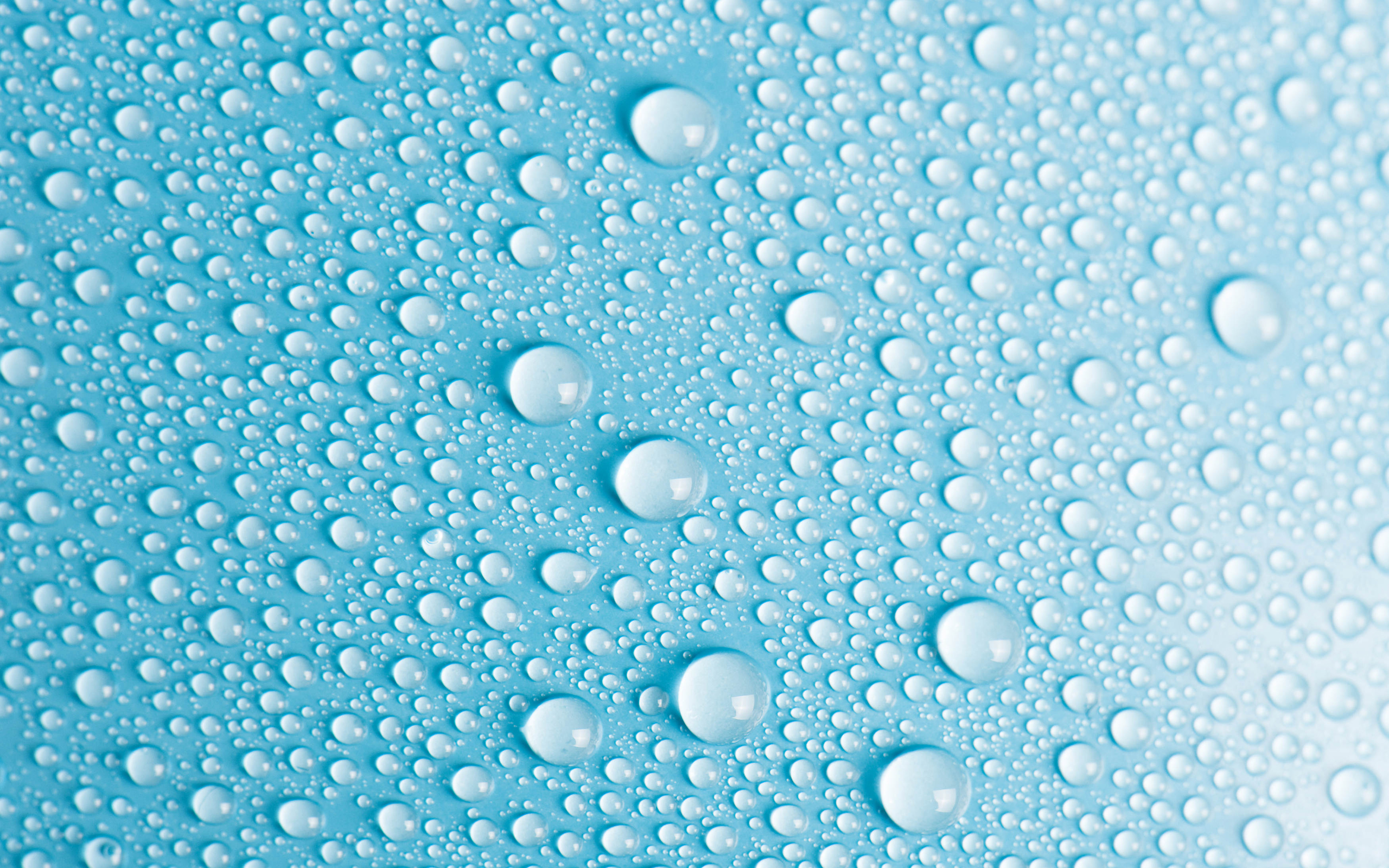 Download the following Fantastic Water Drops Wallpaper 3516 by clicking the button positioned underneath the "Download Wallpaper" section.