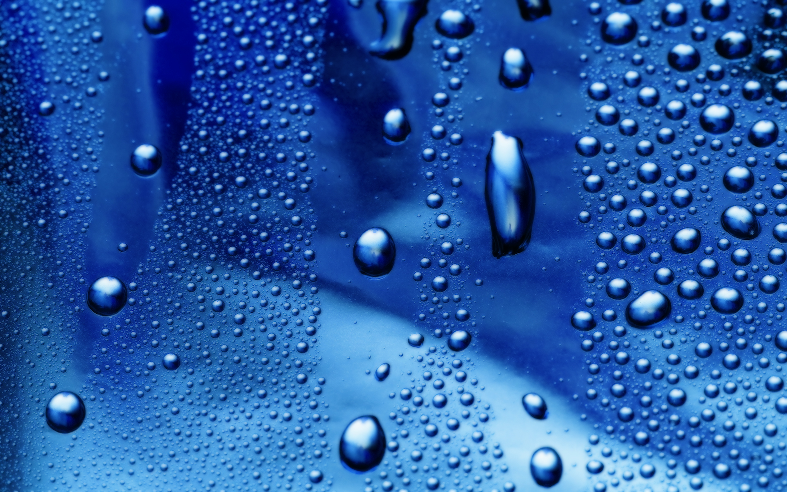 Water Drops HD Wallpaper