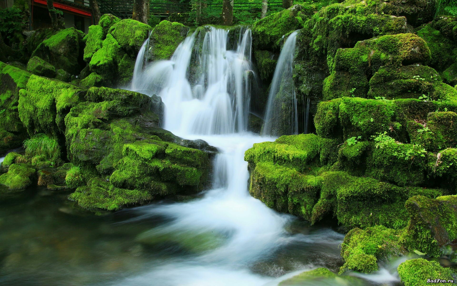 Wallpaper Nature Waterfall Rocks Moss Pictures