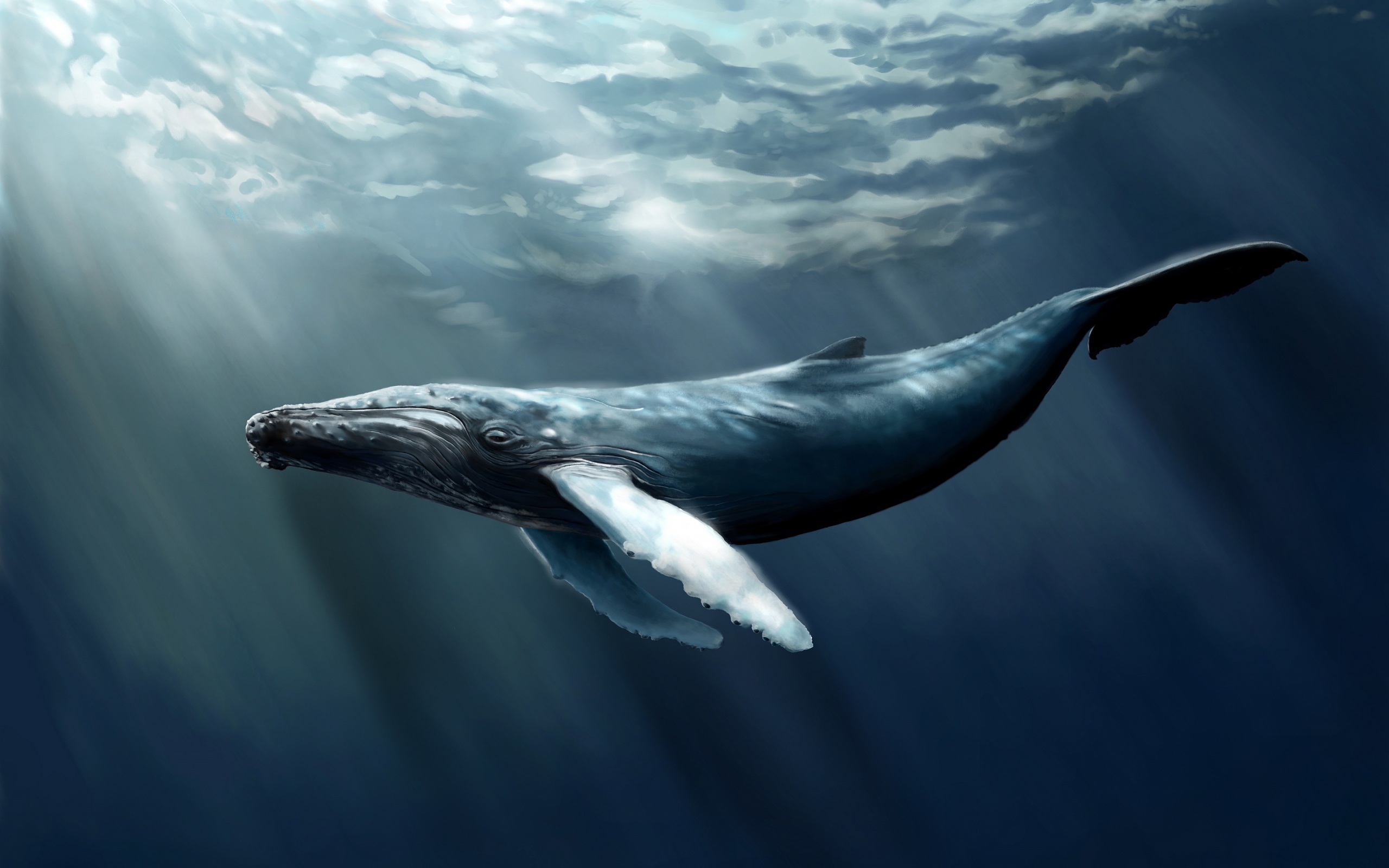 Description: The Wallpaper above is Humpback whale art Wallpaper in Resolution 2560x1600. Choose your Resolution and Download Humpback whale art Wallpaper